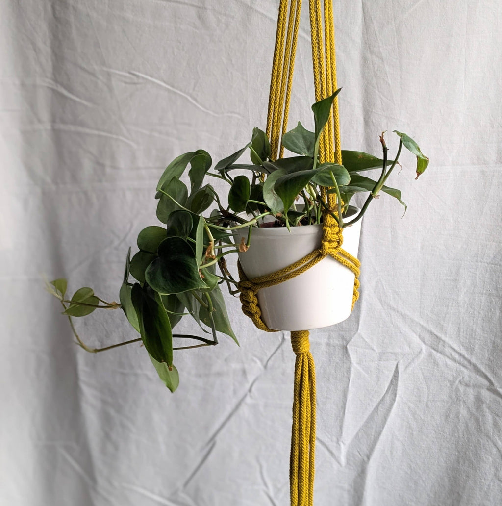 Small Plant Hanger | Eco Friendly | Recycled Cotton