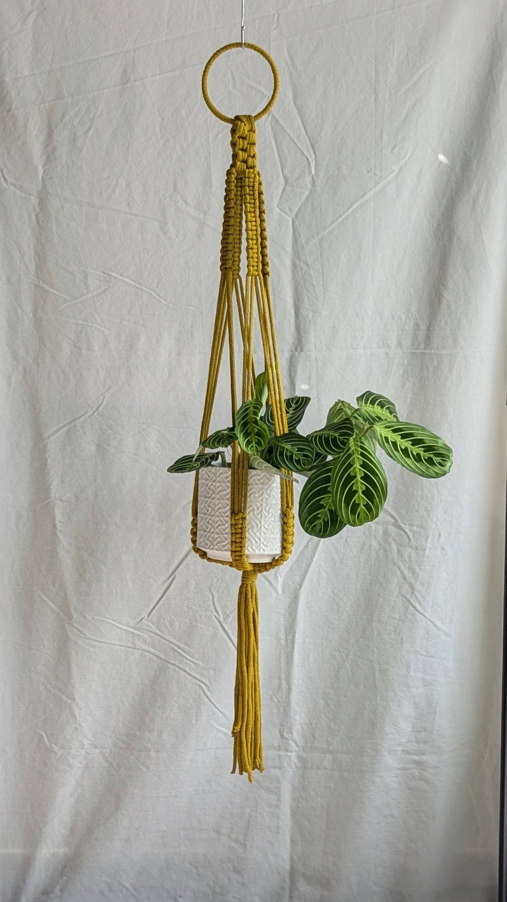 Large Macrame Plant Hanger | Eco Friendly | Recycled Cotton