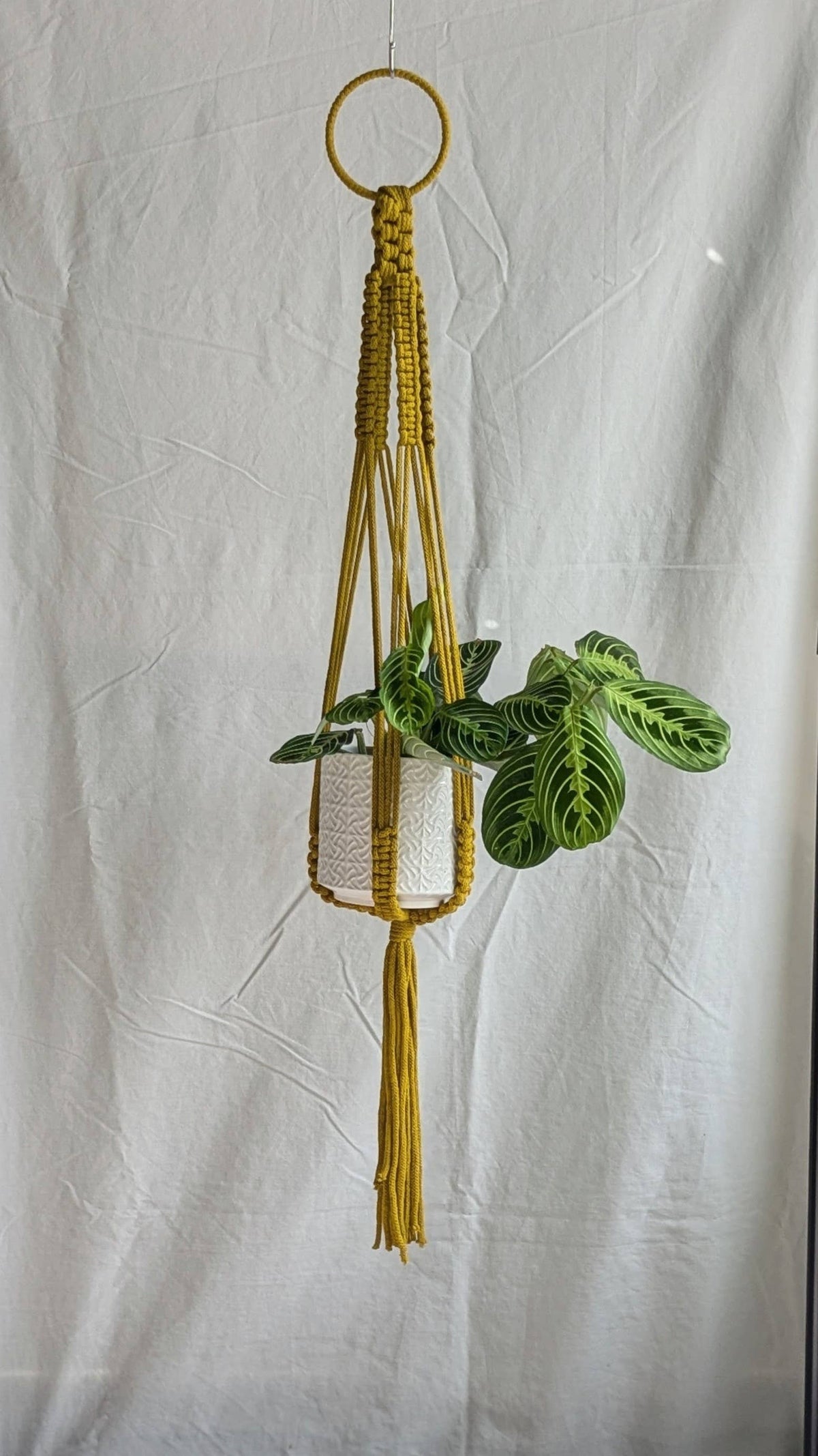 Large Macrame Plant Hanger | Eco Friendly | Recycled Cotton