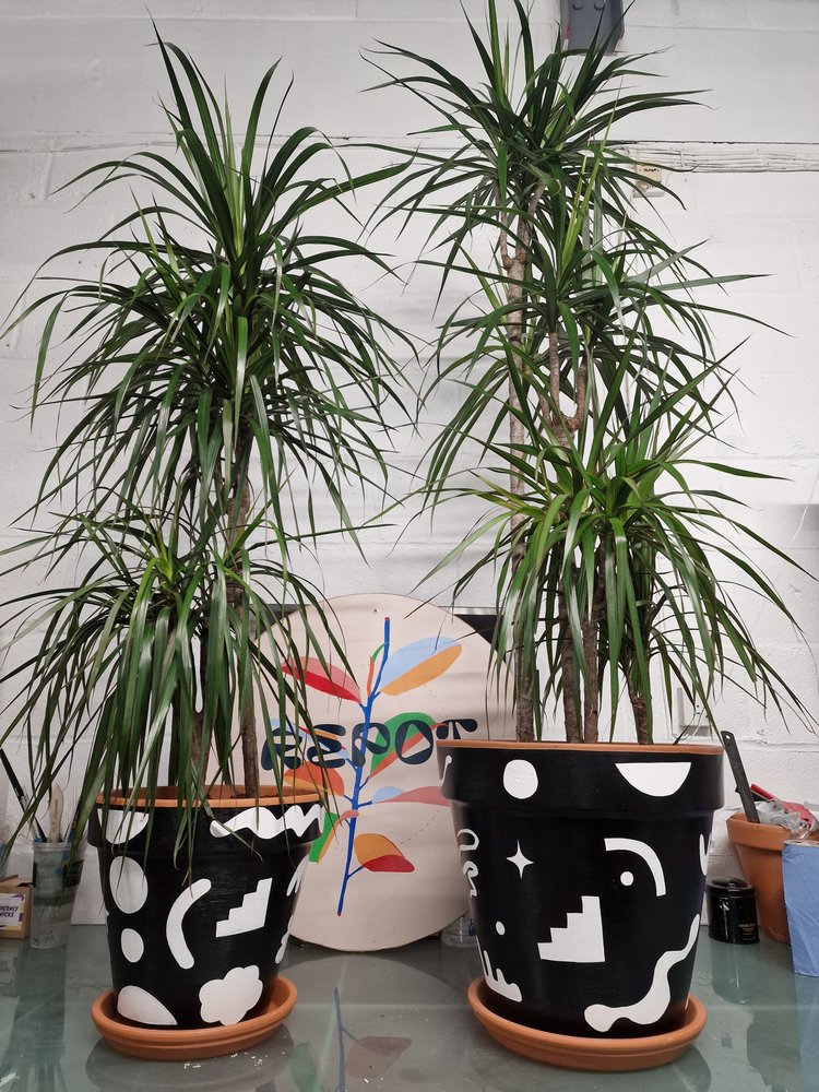 The Monochrome Shapes