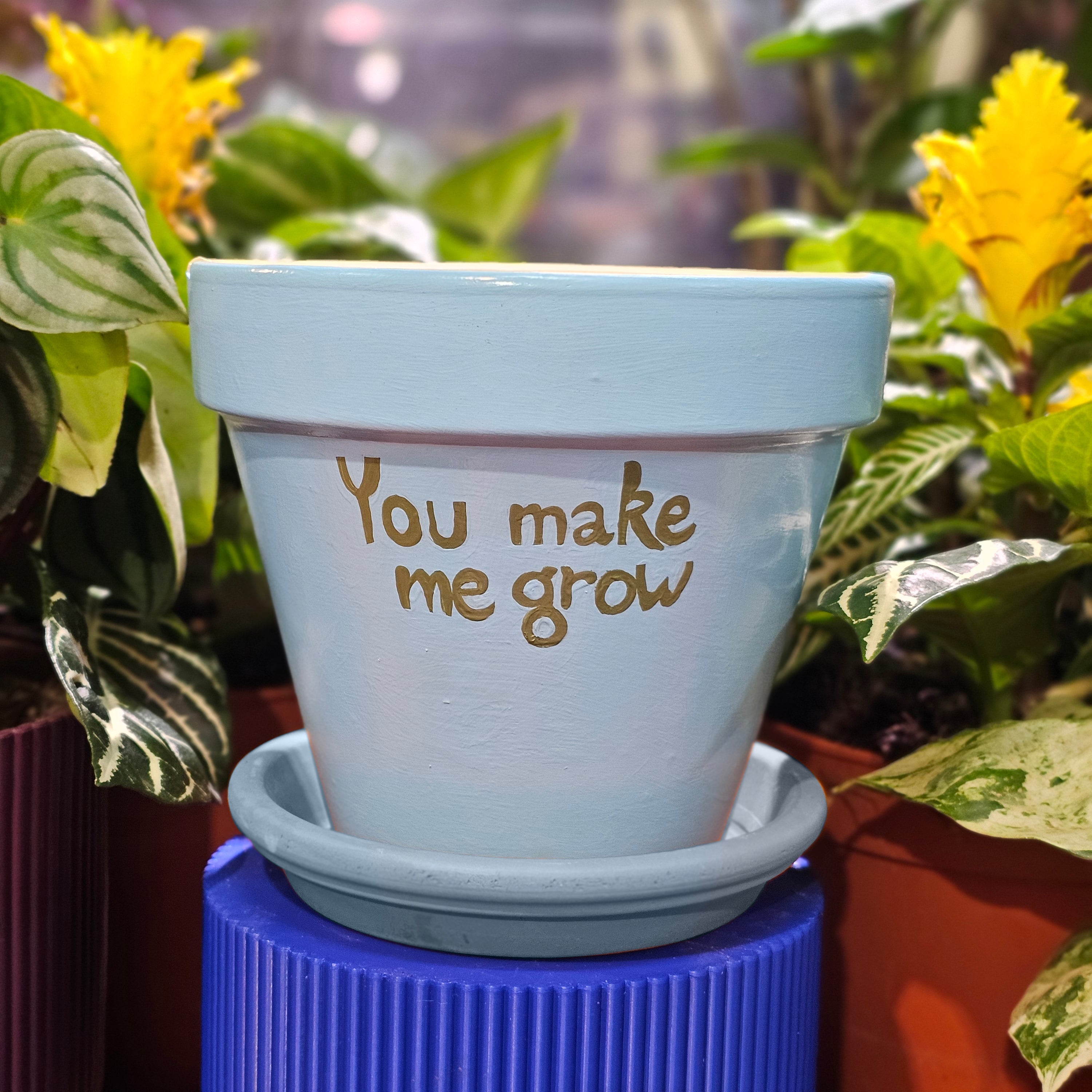 Custom name pot and saucer set