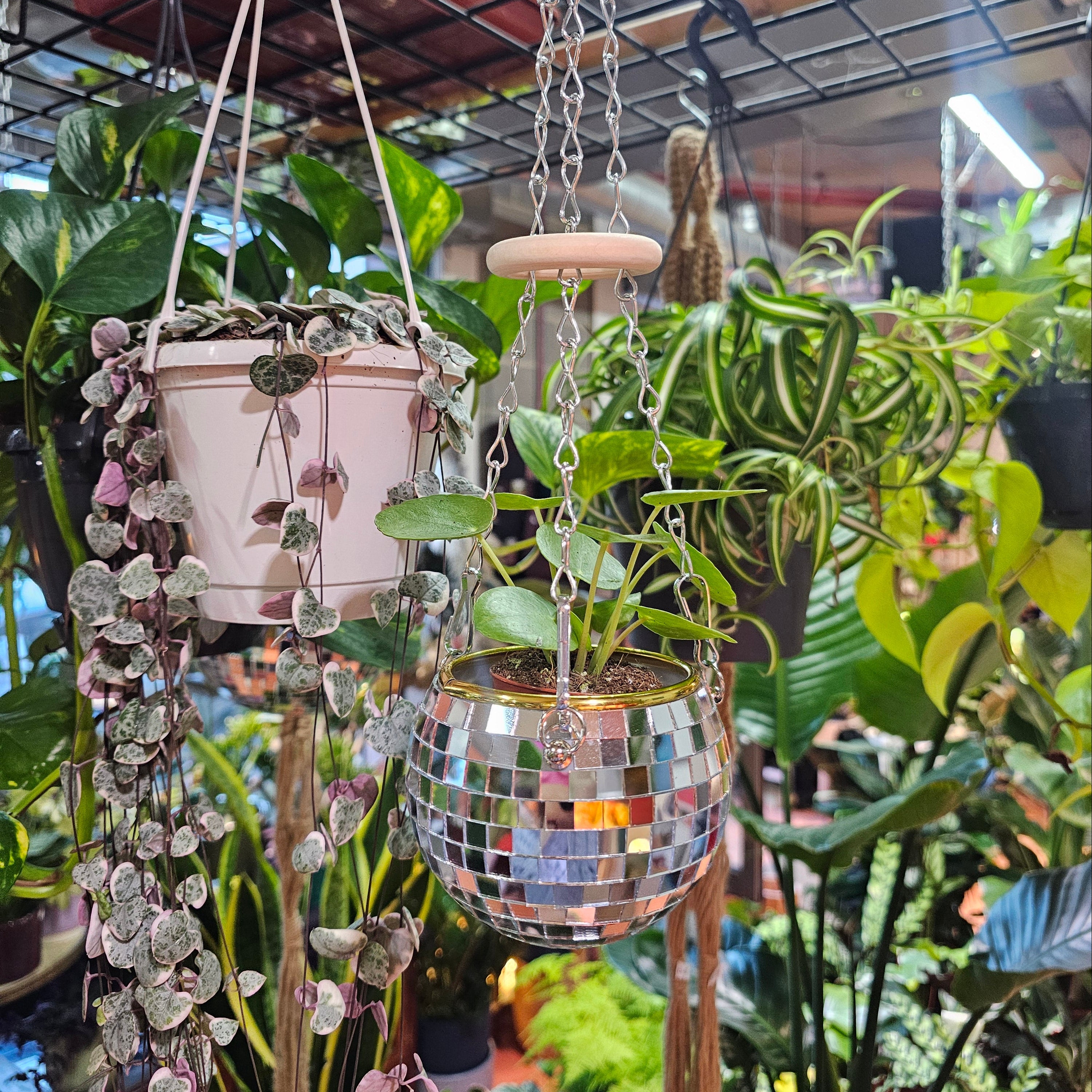 Disco Ball Hanging Planter (4-inch)