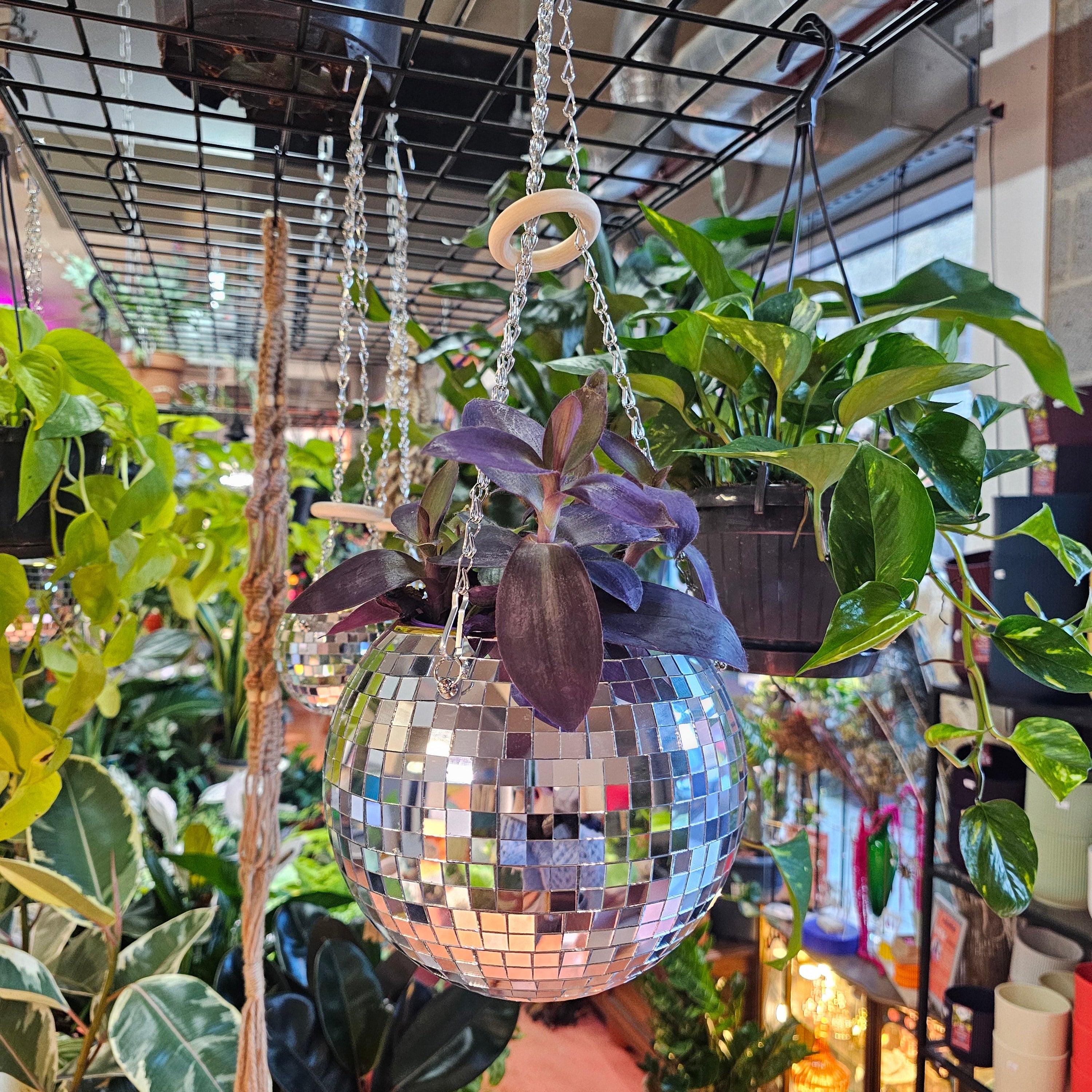 Disco Ball Hanging Planter (8-inch)