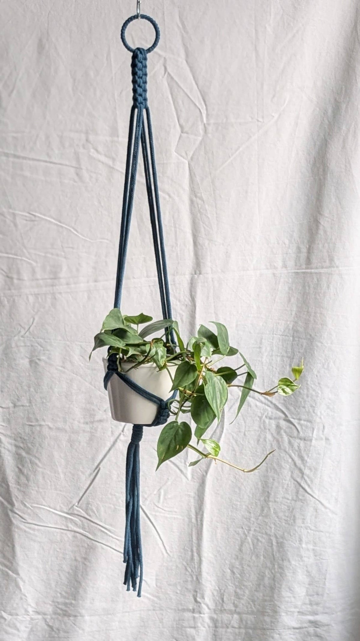 Small Plant Hanger | Eco Friendly | Recycled Cotton