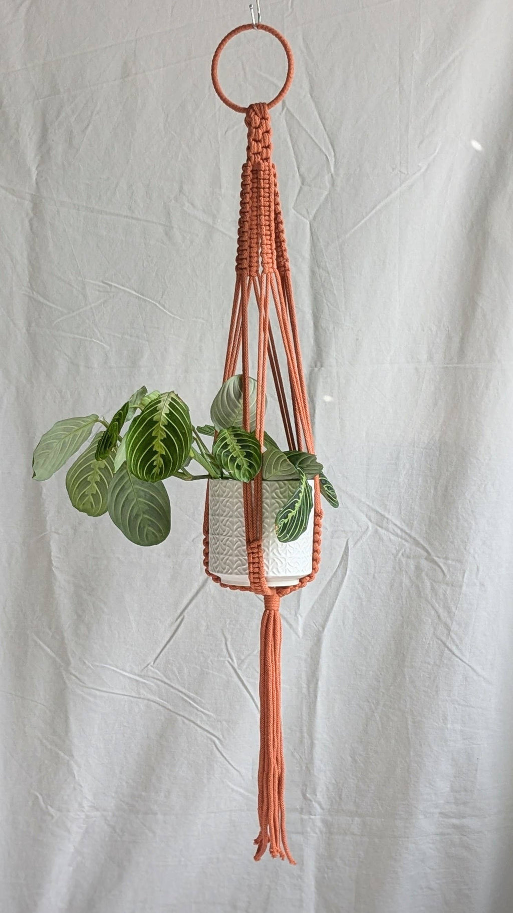 Large Macrame Plant Hanger | Eco Friendly | Recycled Cotton