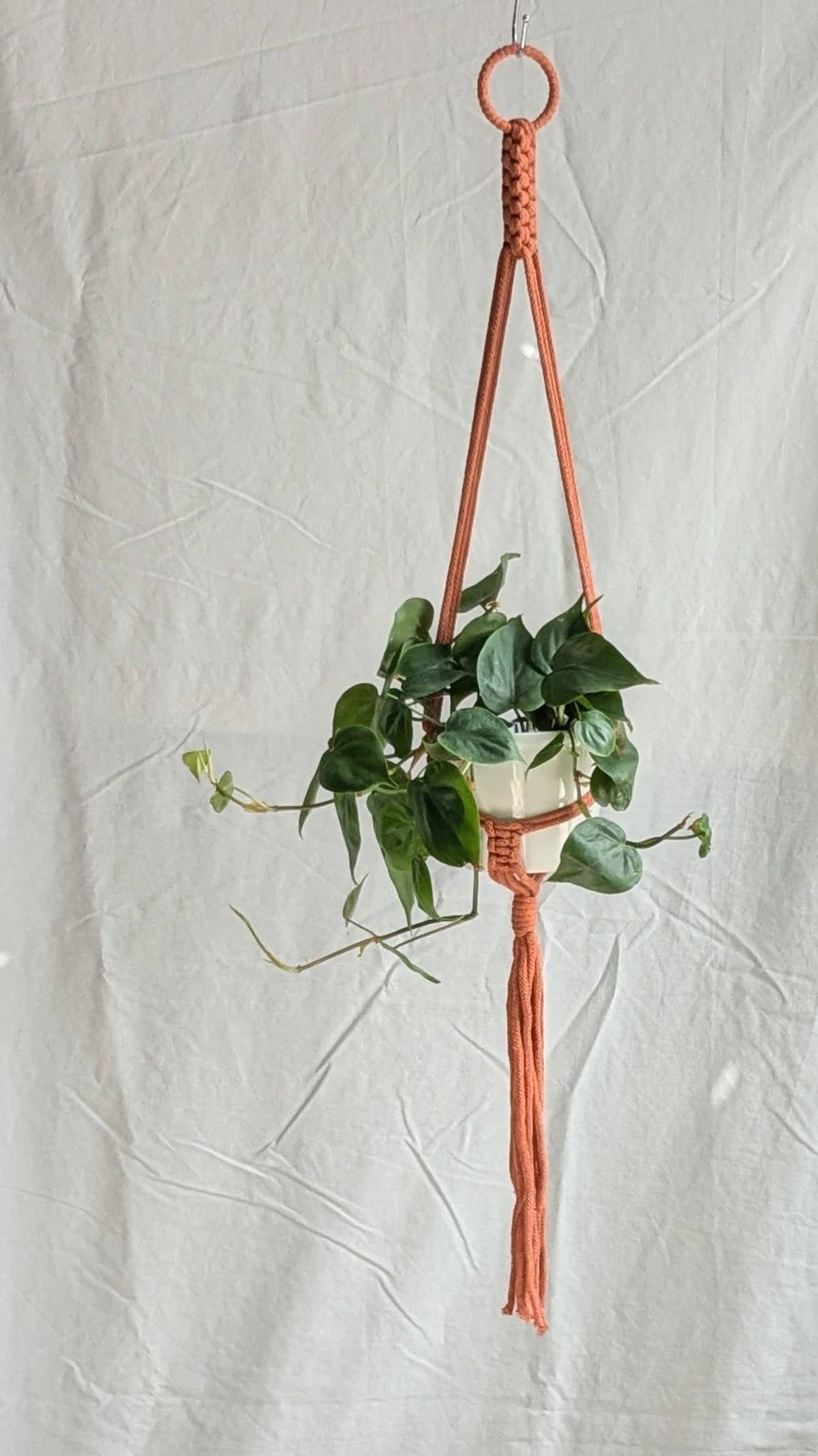Small Plant Hanger | Eco Friendly | Recycled Cotton