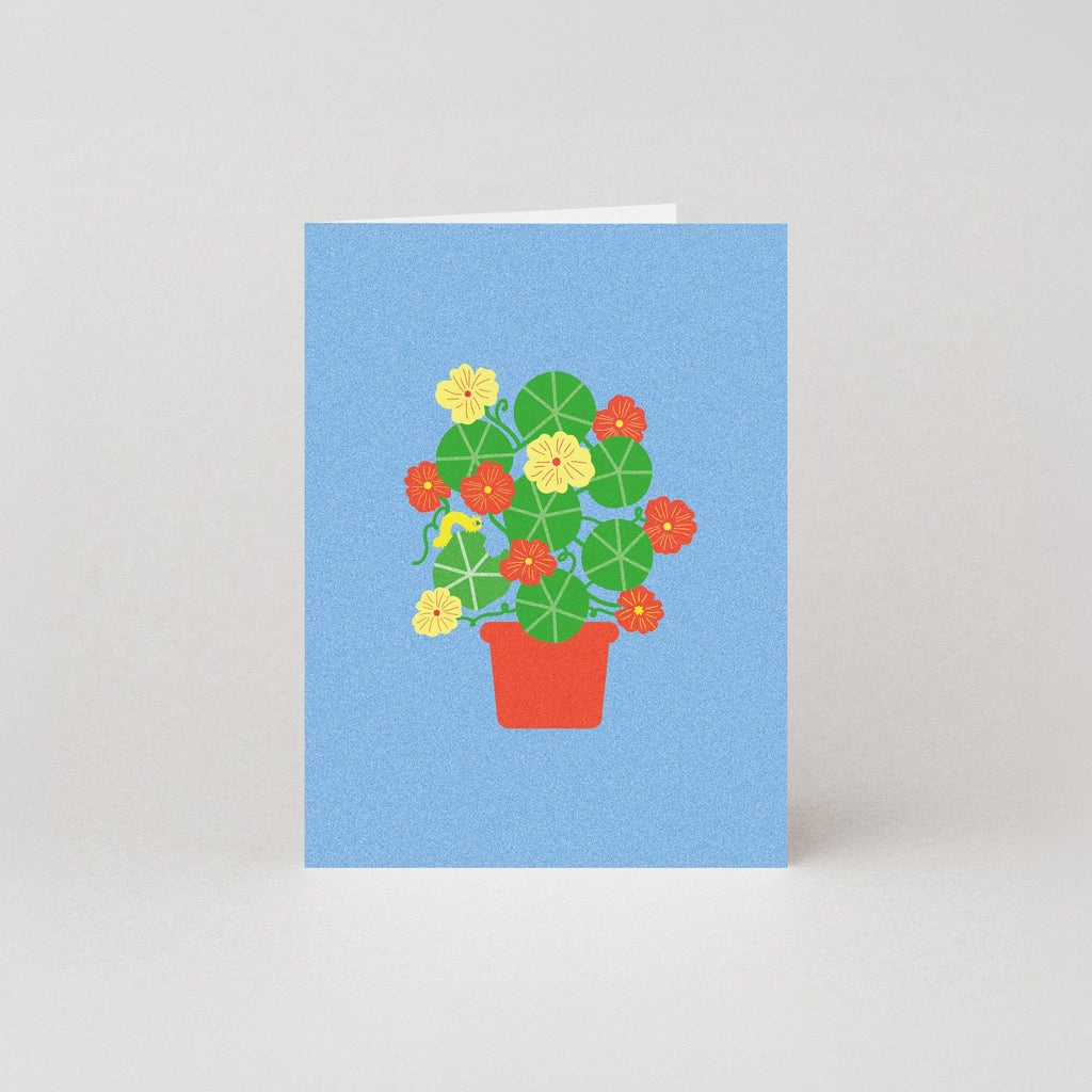 Nasturtium Mini Card | Floral Mini Cards | Floral Cards