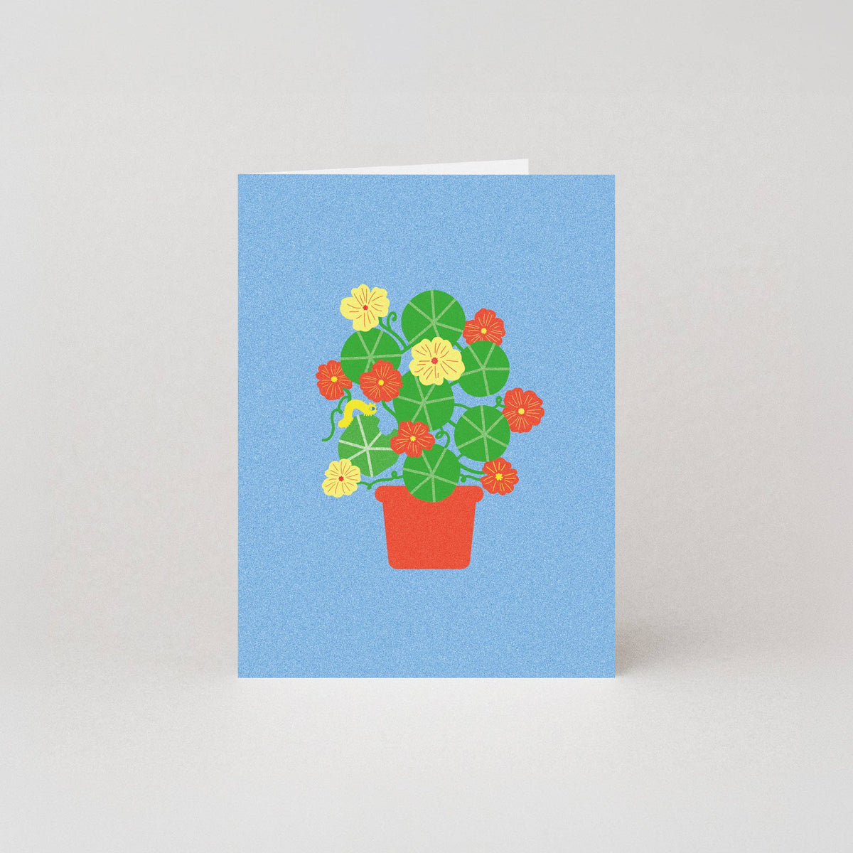 Nasturtium Mini Card | Floral Mini Cards | Floral Cards