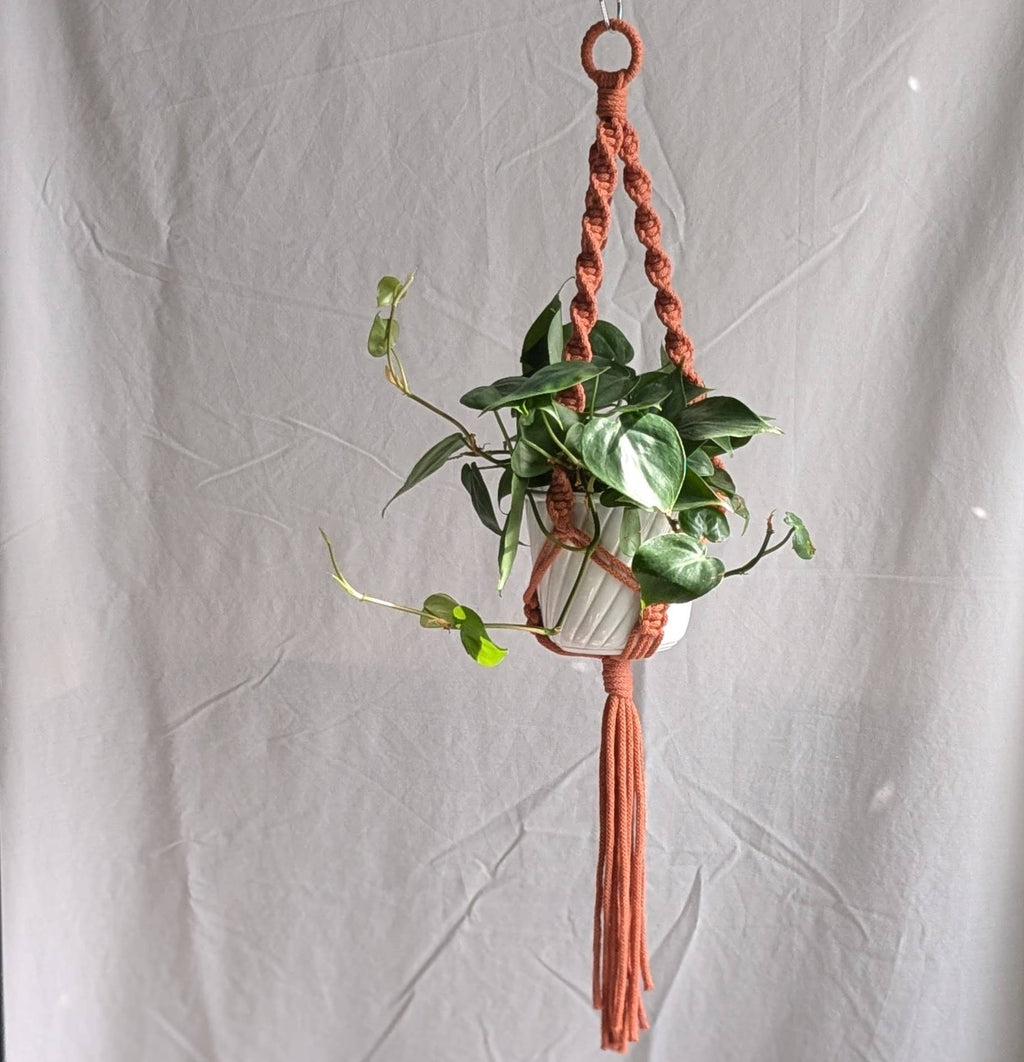 Spiral Macrame Plant Hanger | Eco Friendly | Recycled Cotton