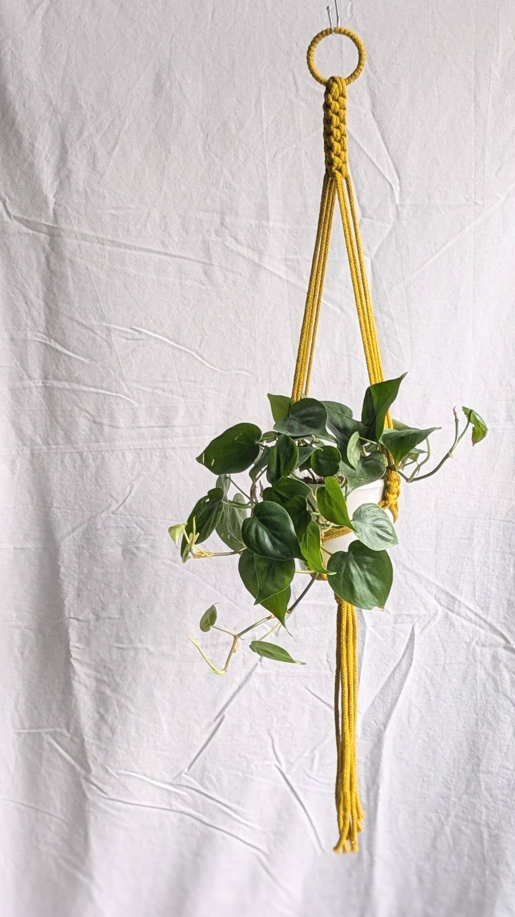 Small Plant Hanger | Eco Friendly | Recycled Cotton