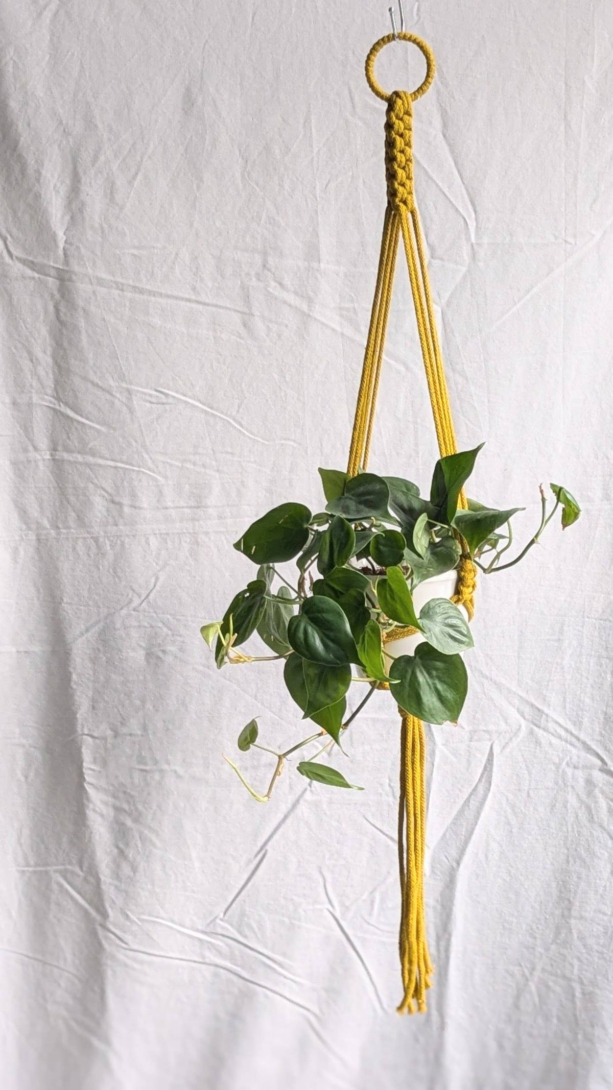 Small Plant Hanger | Eco Friendly | Recycled Cotton