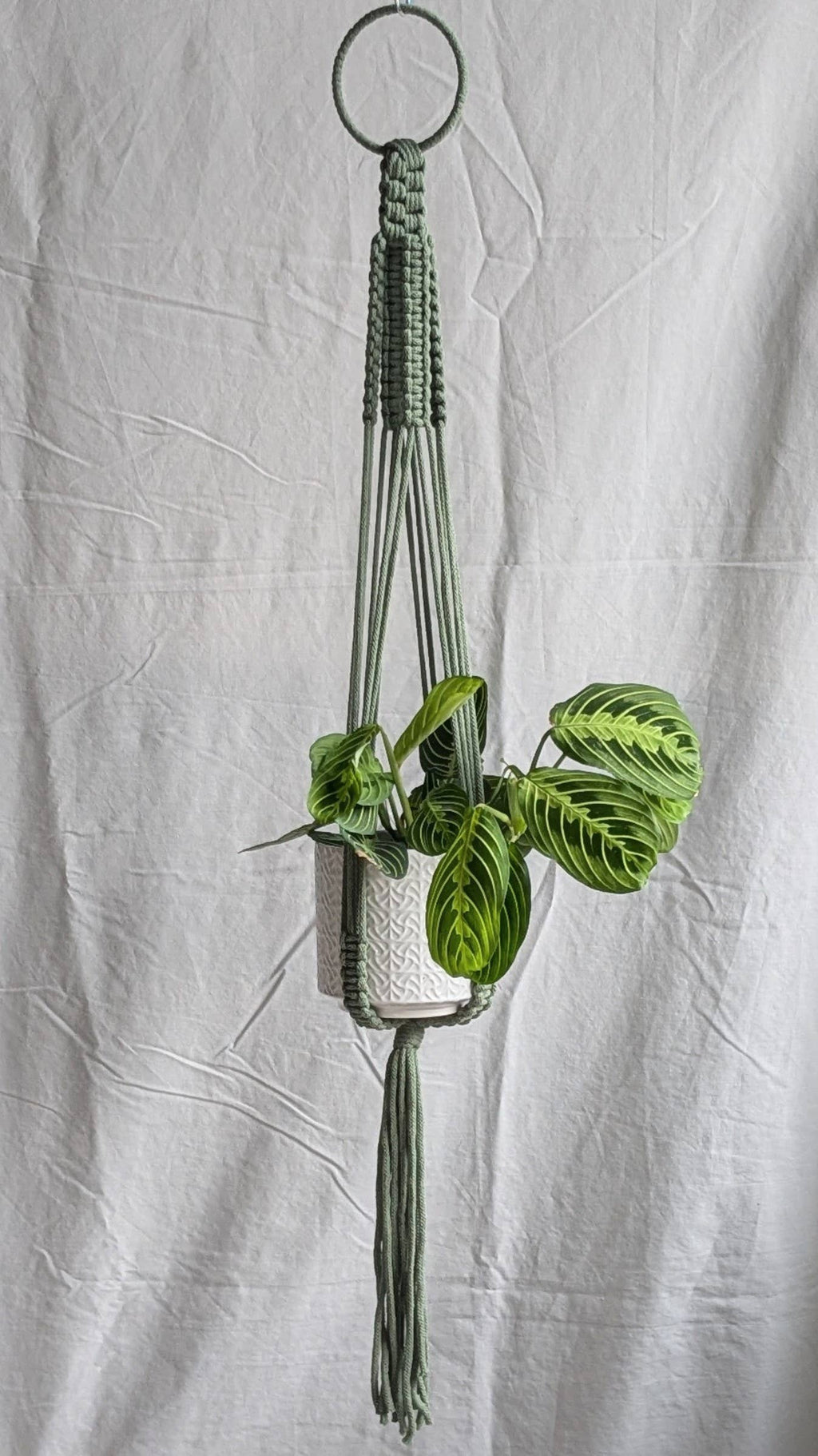 Large Macrame Plant Hanger | Eco Friendly | Recycled Cotton