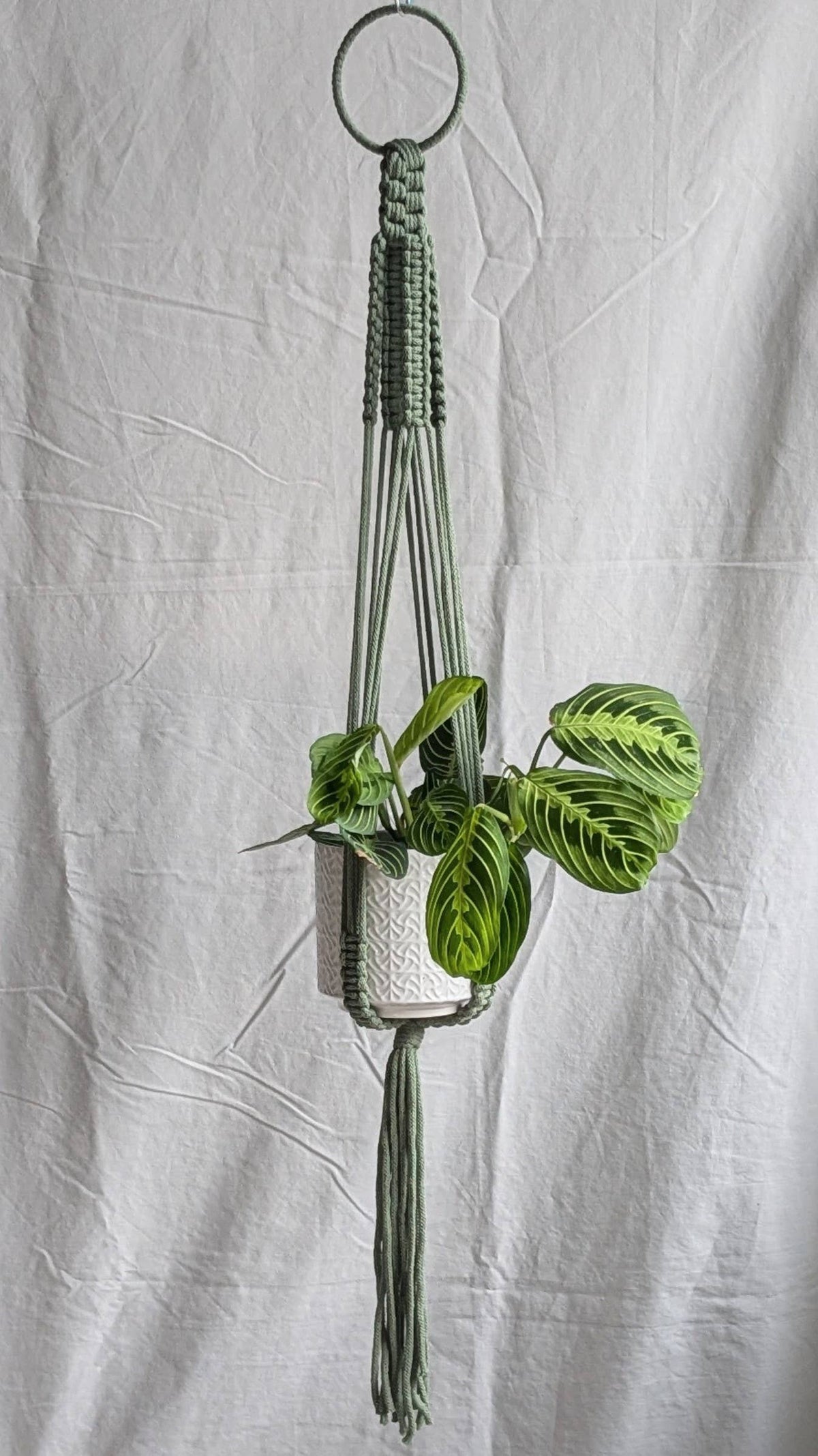 Large Macrame Plant Hanger | Eco Friendly | Recycled Cotton