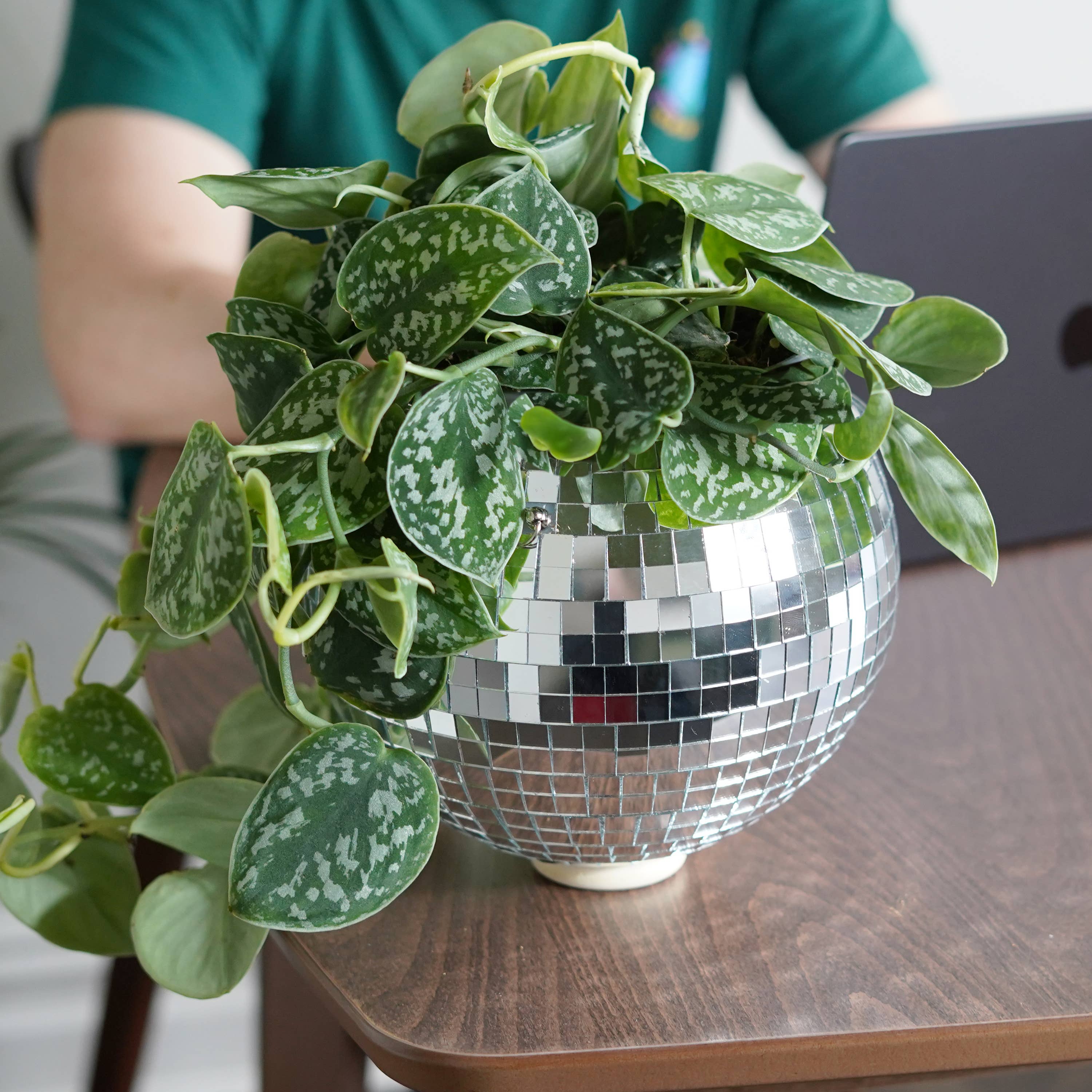 Disco Ball Hanging Planter 8-inch | Home & Lifestyle Gift