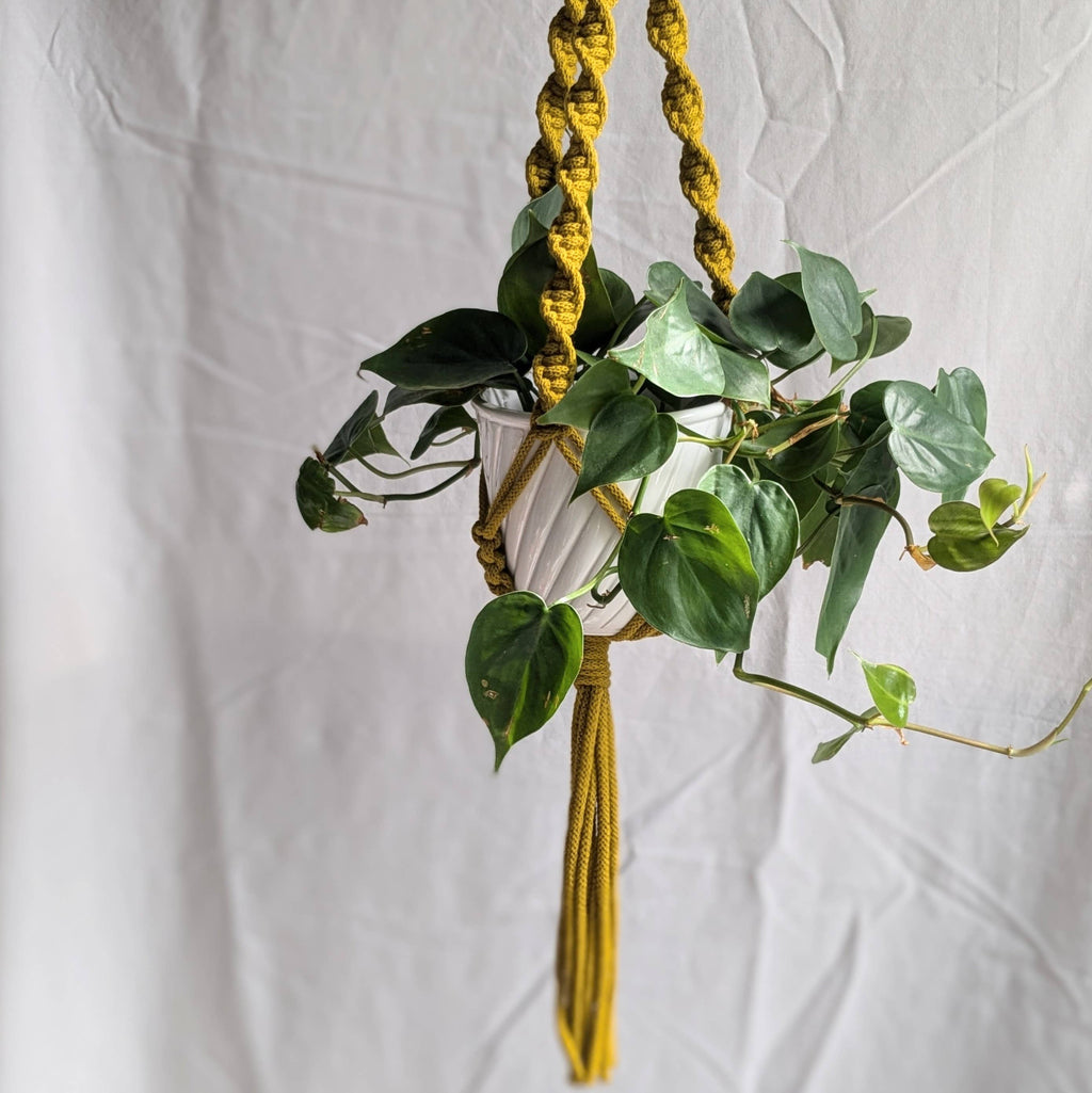 Spiral Macrame Plant Hanger | Eco Friendly | Recycled Cotton