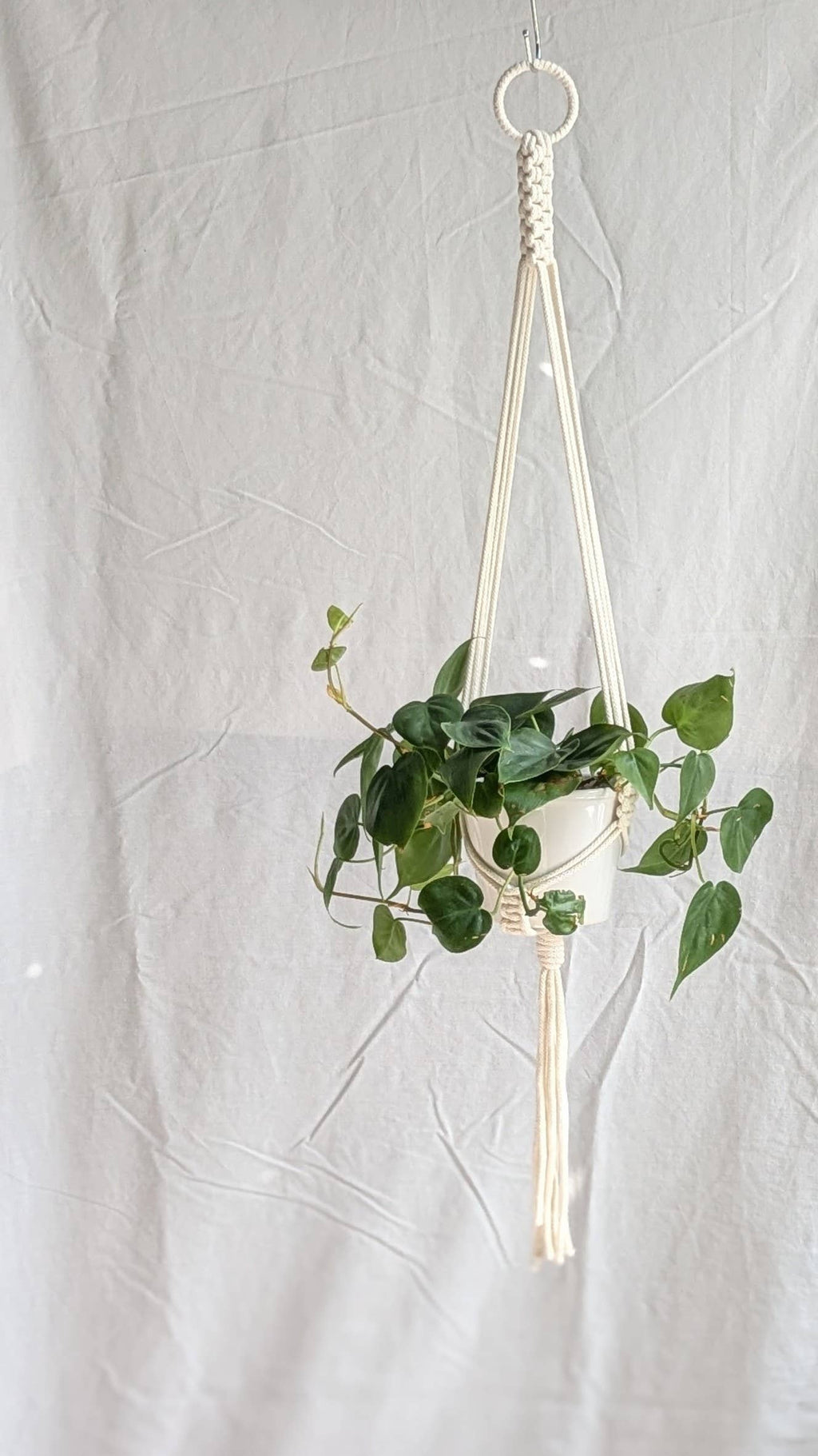 Small Plant Hanger | Eco Friendly | Recycled Cotton