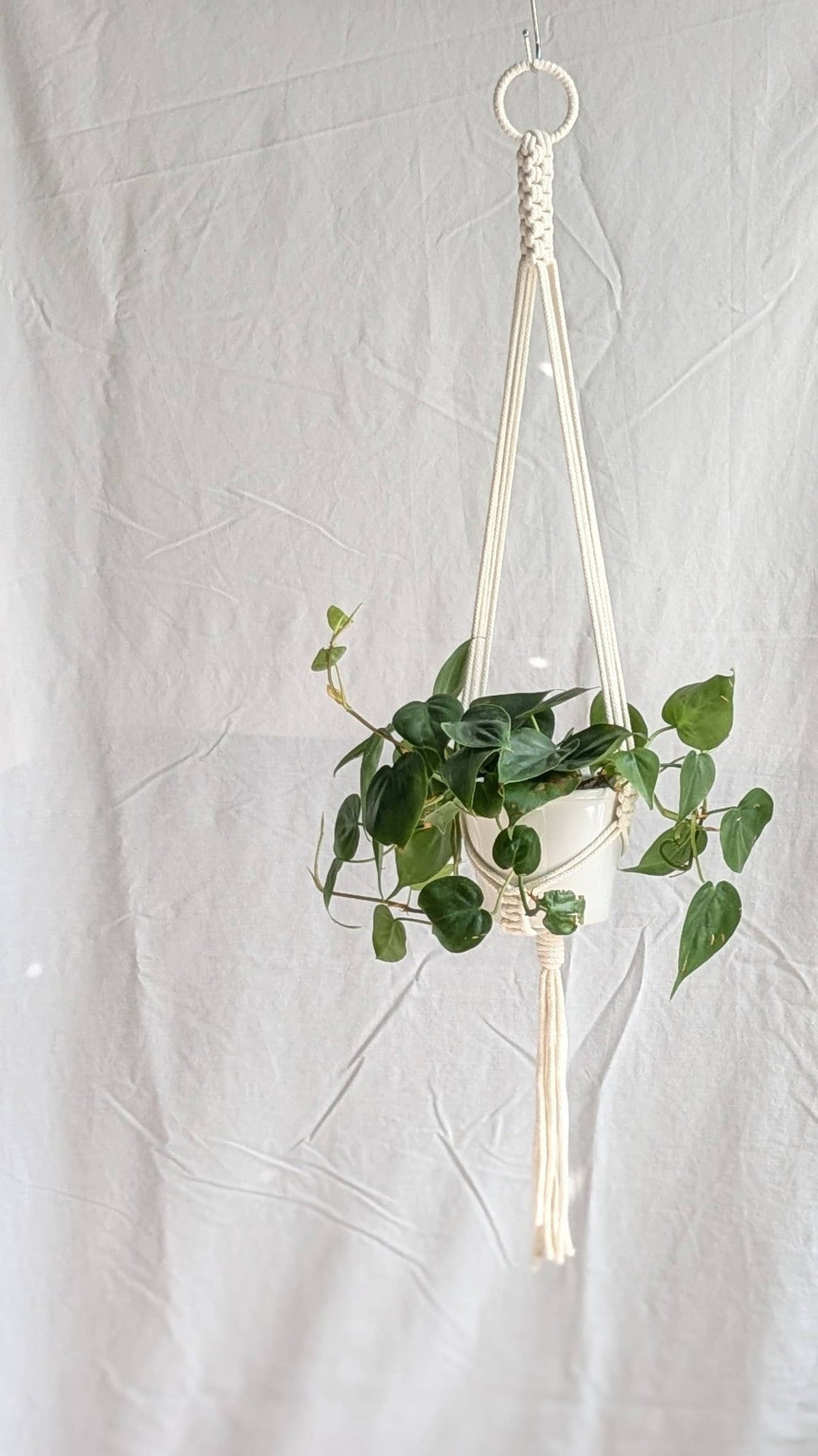 Small Plant Hanger | Eco Friendly | Recycled Cotton
