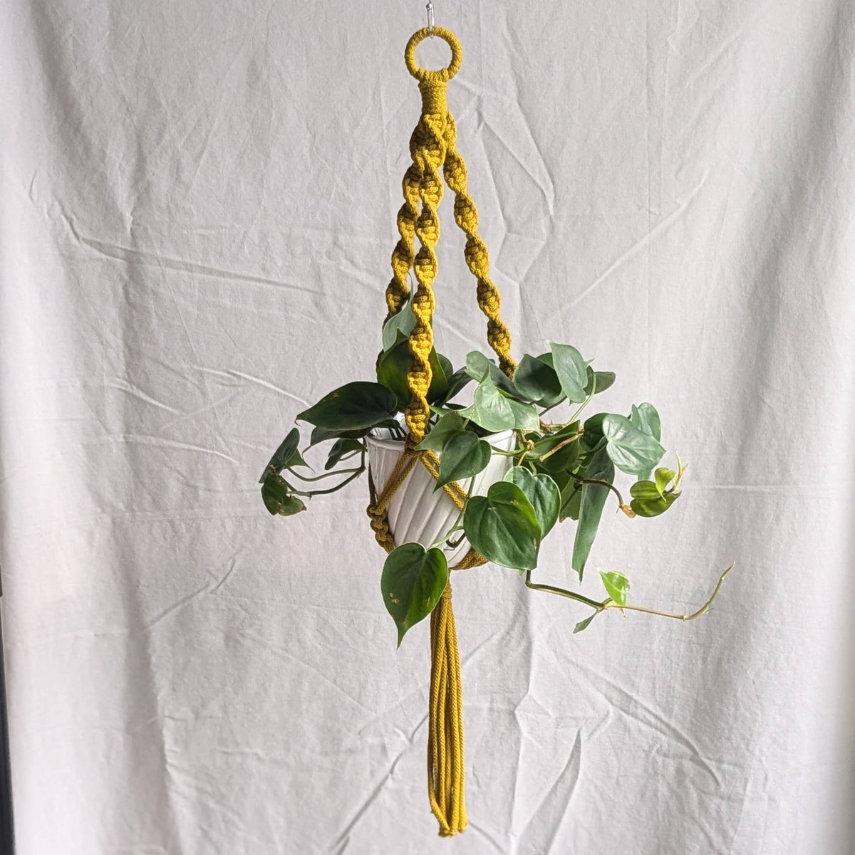 Spiral Macrame Plant Hanger | Eco Friendly | Recycled Cotton