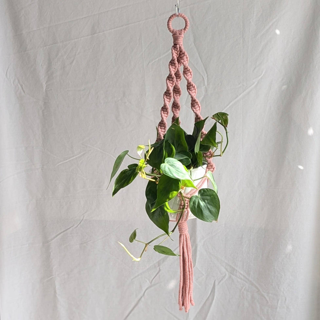Spiral Macrame Plant Hanger | Eco Friendly | Recycled Cotton