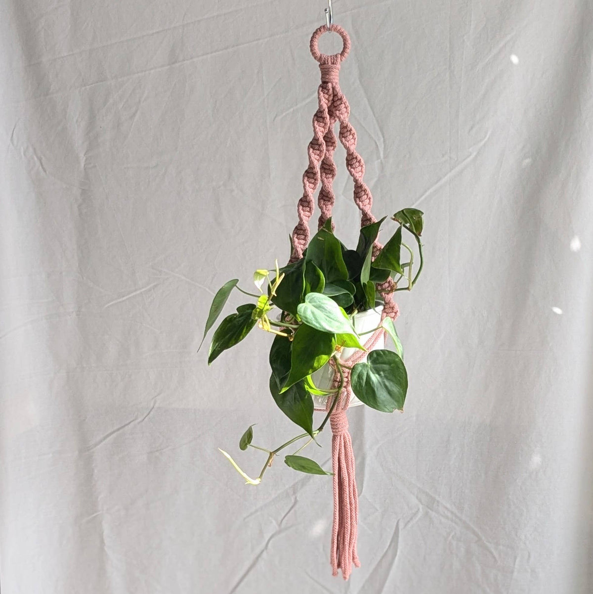 Spiral Macrame Plant Hanger | Eco Friendly | Recycled Cotton