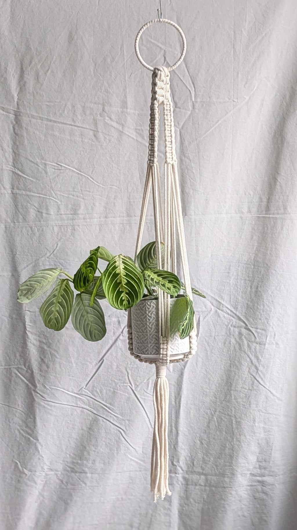 Large Macrame Plant Hanger | Eco Friendly | Recycled Cotton