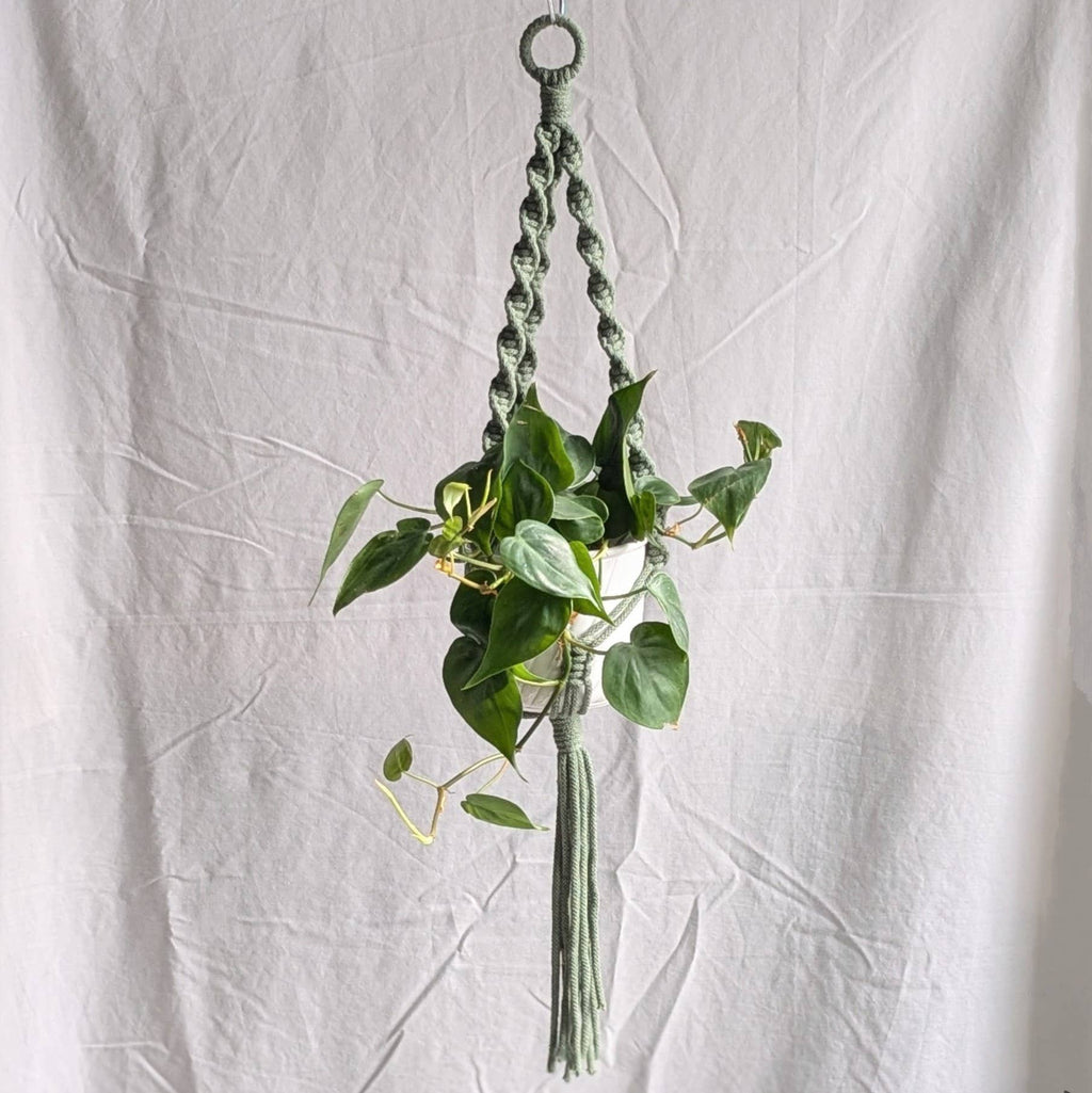 Spiral Macrame Plant Hanger | Eco Friendly | Recycled Cotton