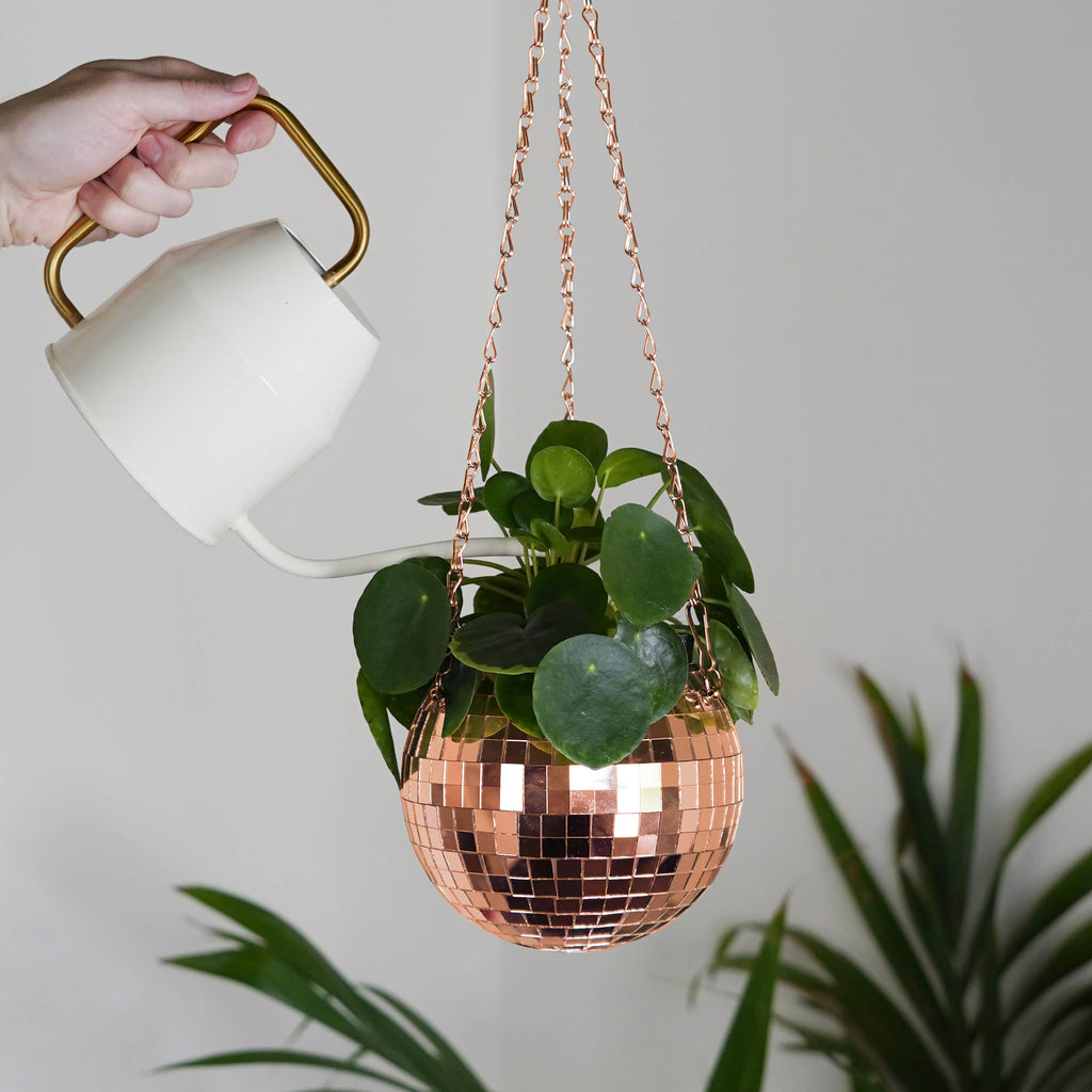 Disco Ball Hanging Planter Rose Gold 6-inch | Giftware