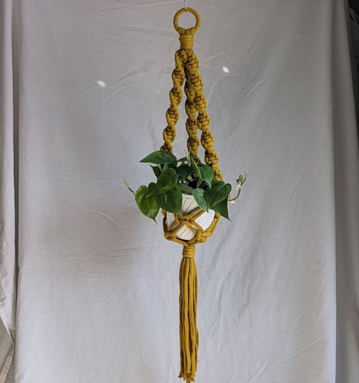 Marshmallow Macrame Plant Hanger | Made From Recycled Cotton