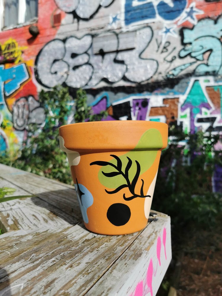 The Colourful Shapes