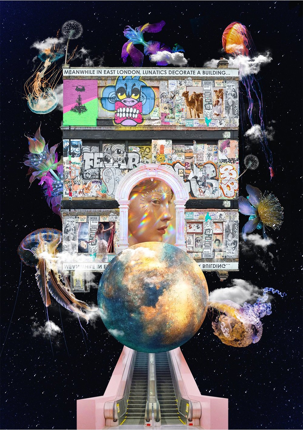 Lunatics Still Reside by Mona Sharif