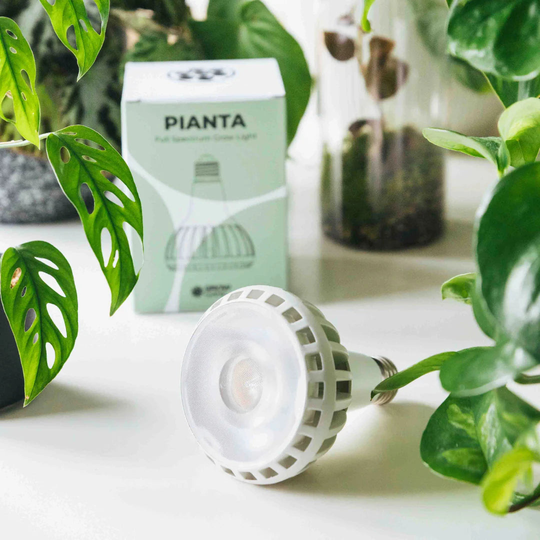 Pianta Grow Light LED Bulb E27