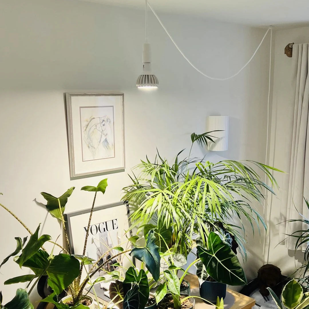 Pianta Grow Light LED Bulb E27