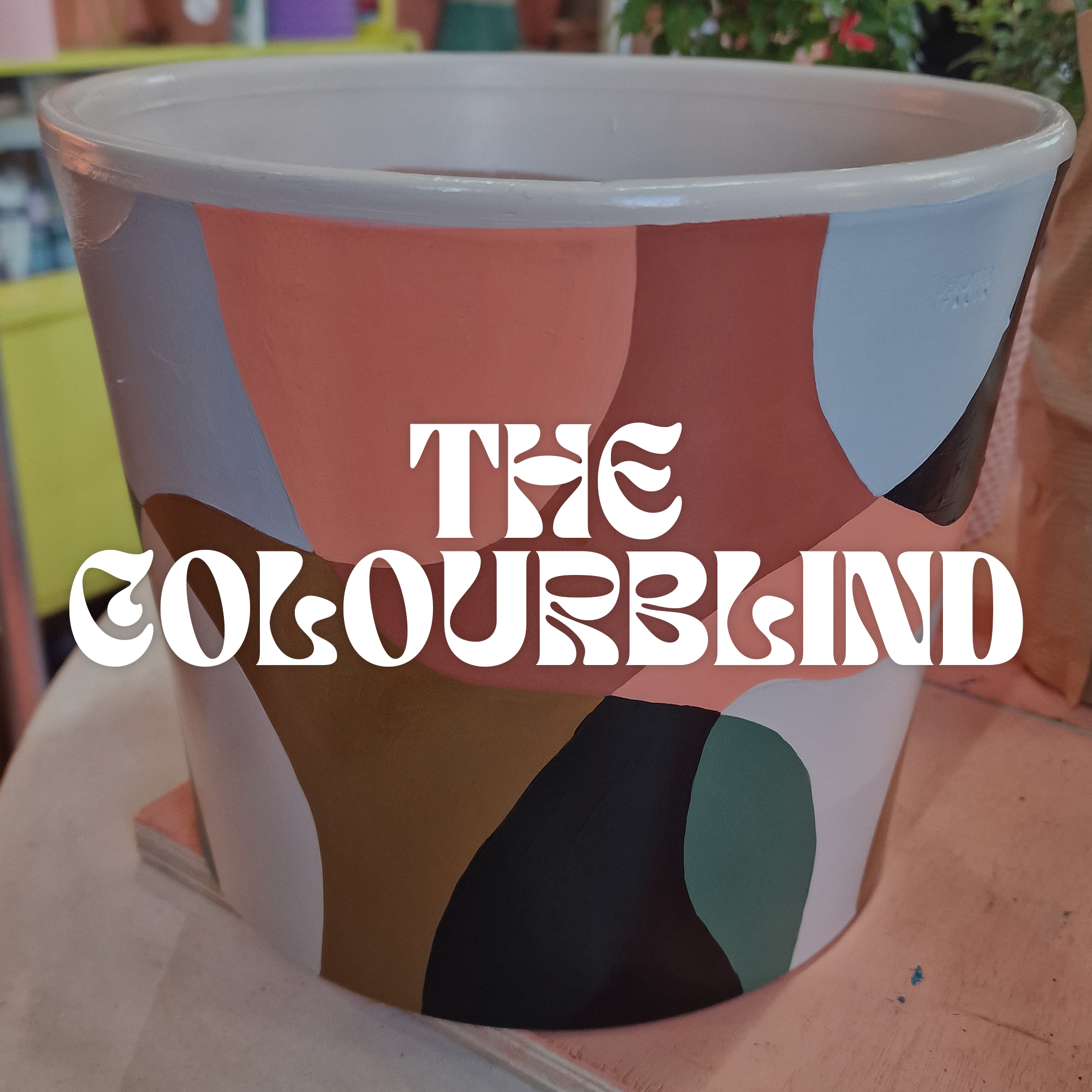 The Colourblind