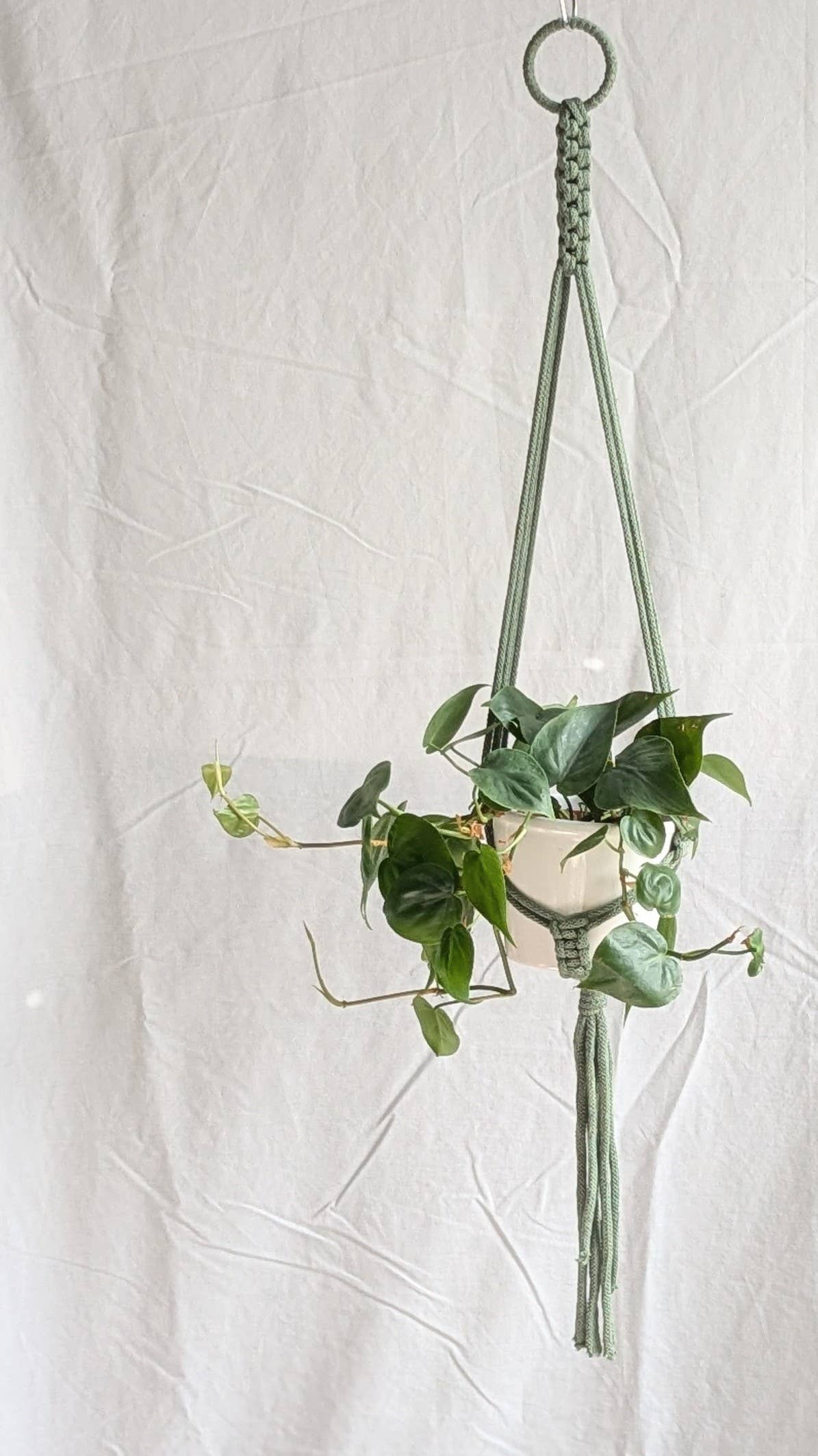 Small Plant Hanger | Eco Friendly | Recycled Cotton