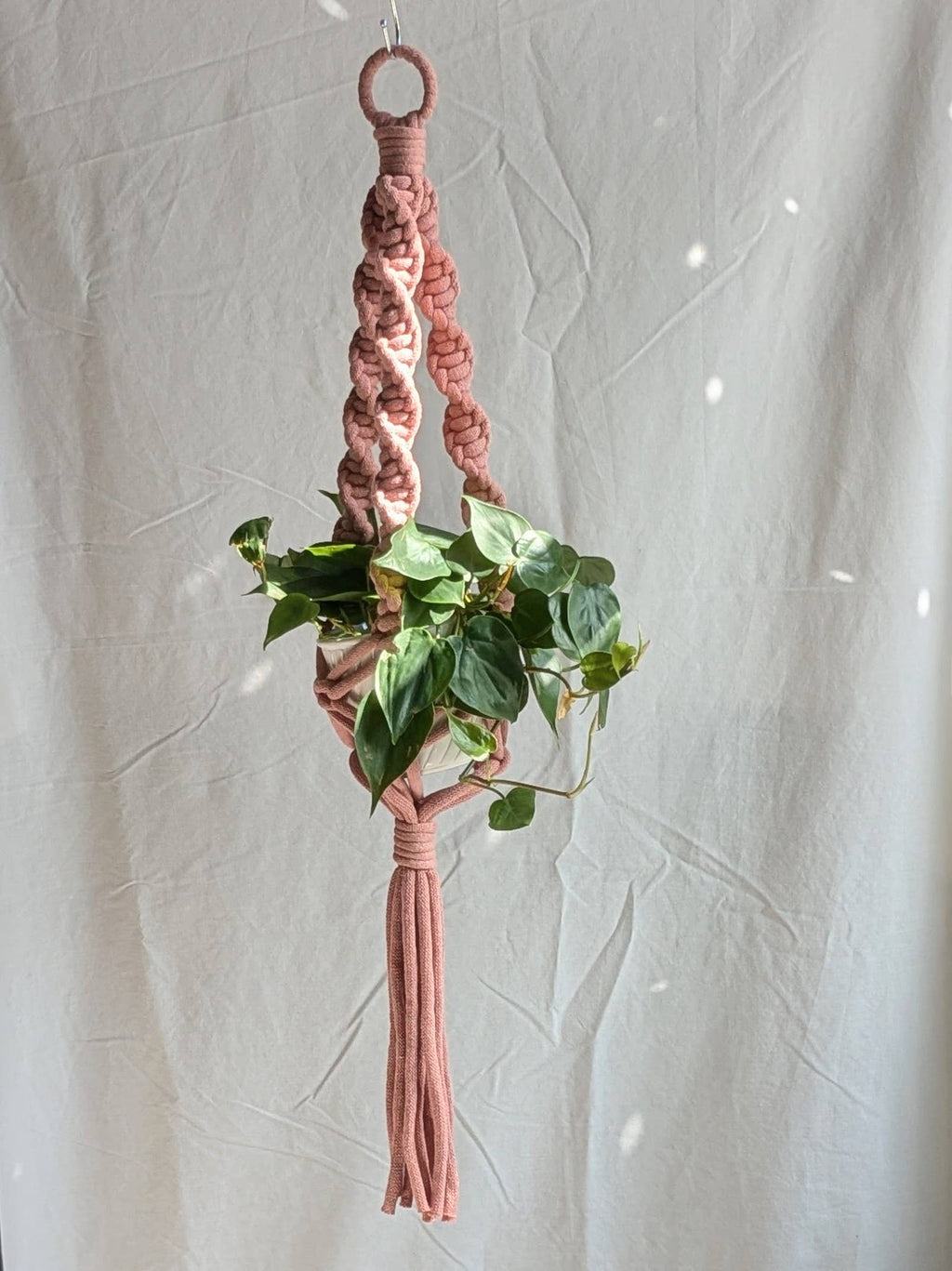 Marshmallow Macrame Plant Hanger | Made From Recycled Cotton
