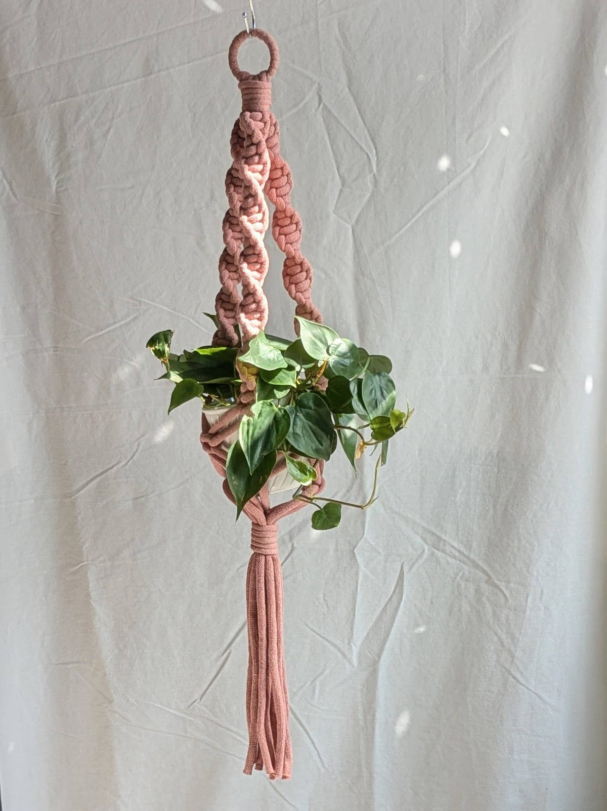 Marshmallow Macrame Plant Hanger | Made From Recycled Cotton