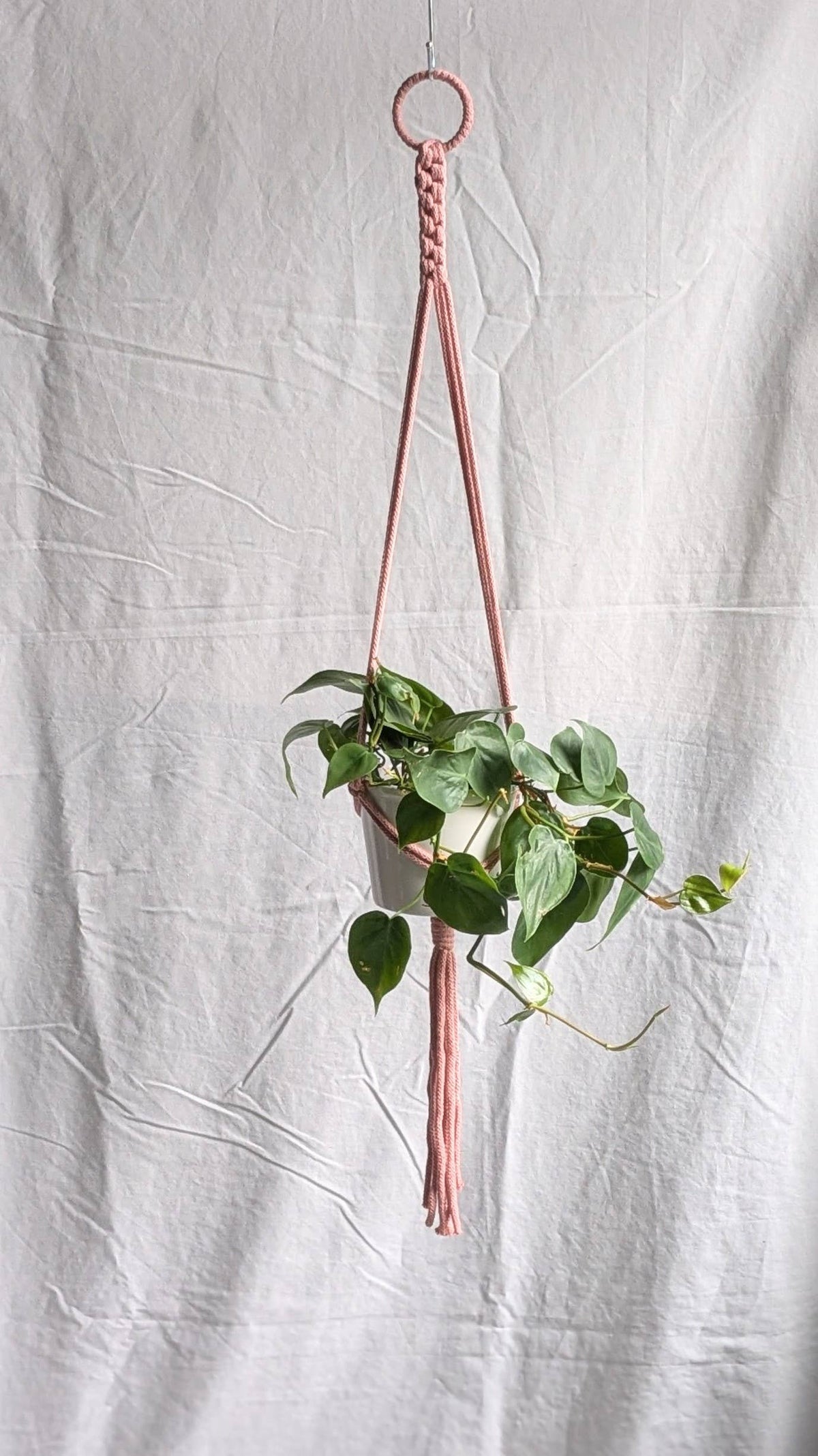 Small Plant Hanger | Eco Friendly | Recycled Cotton
