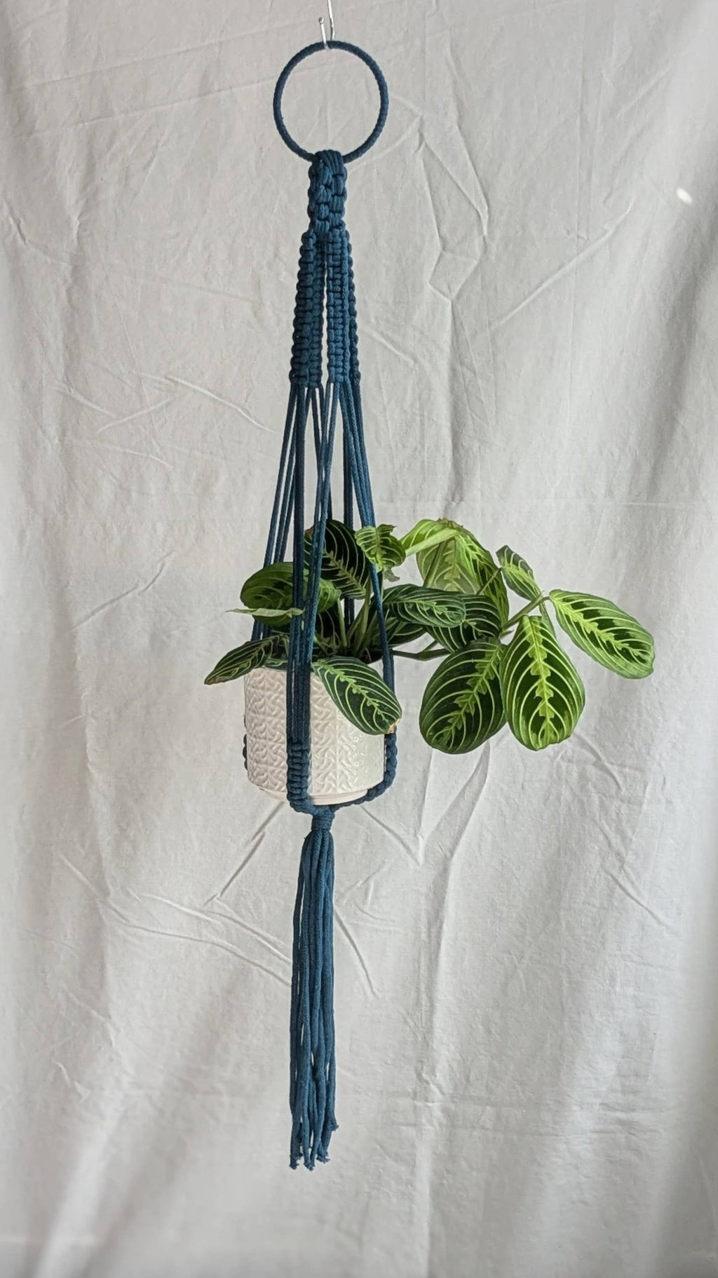 Large Macrame Plant Hanger | Eco Friendly | Recycled Cotton