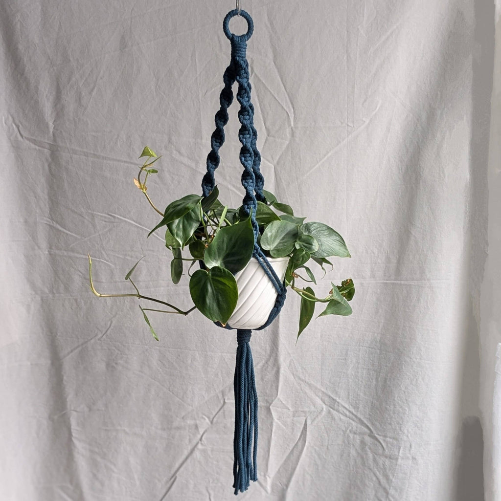 Spiral Macrame Plant Hanger | Eco Friendly | Recycled Cotton