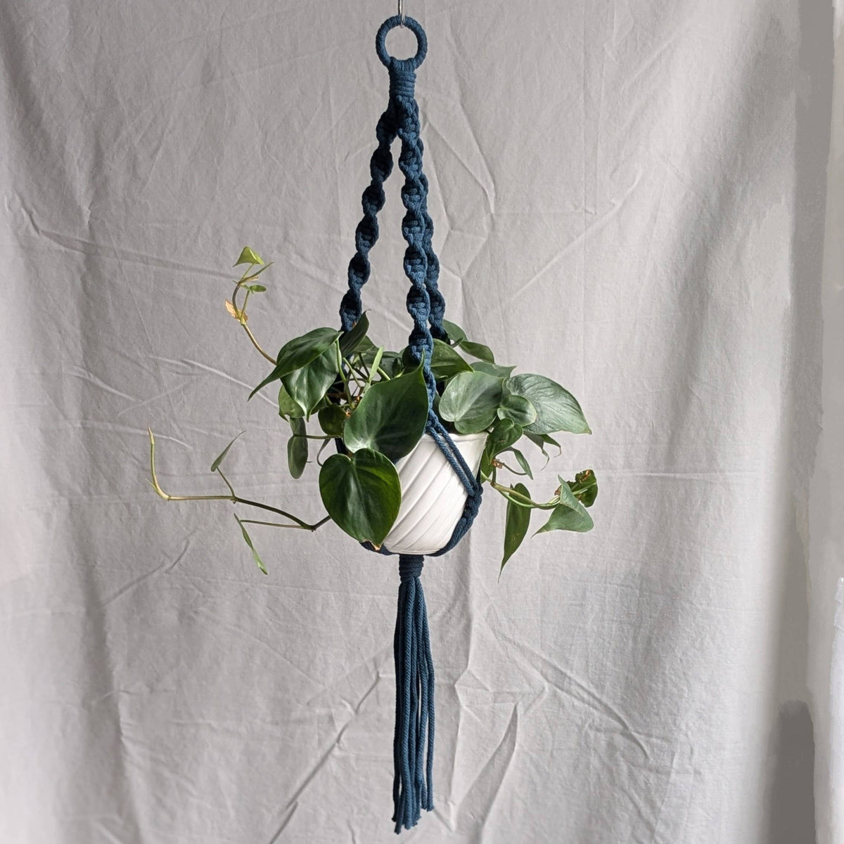 Spiral Macrame Plant Hanger | Eco Friendly | Recycled Cotton
