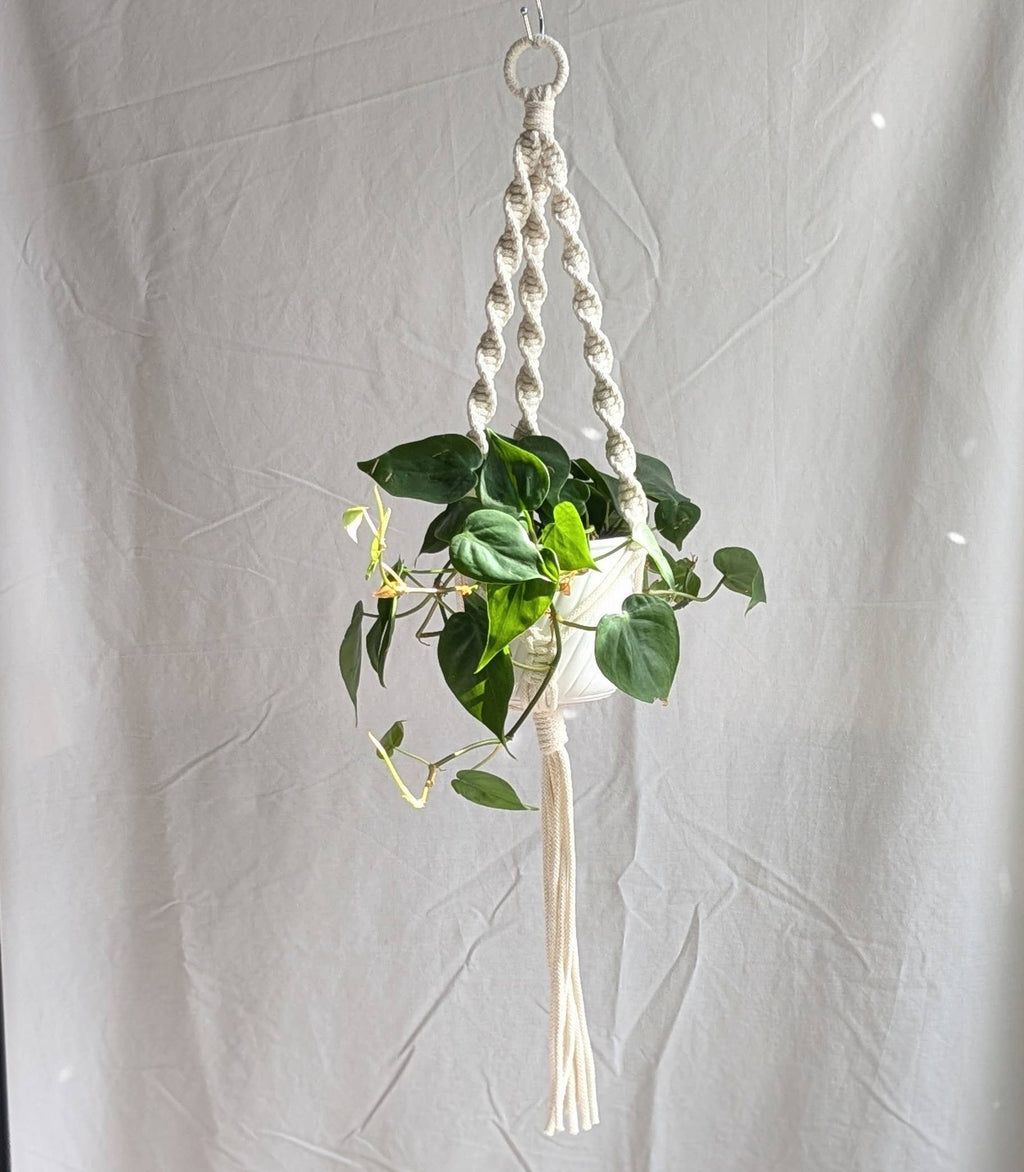 Spiral Macrame Plant Hanger | Eco Friendly | Recycled Cotton