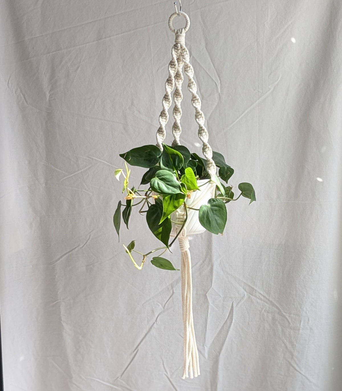 Spiral Macrame Plant Hanger | Eco Friendly | Recycled Cotton