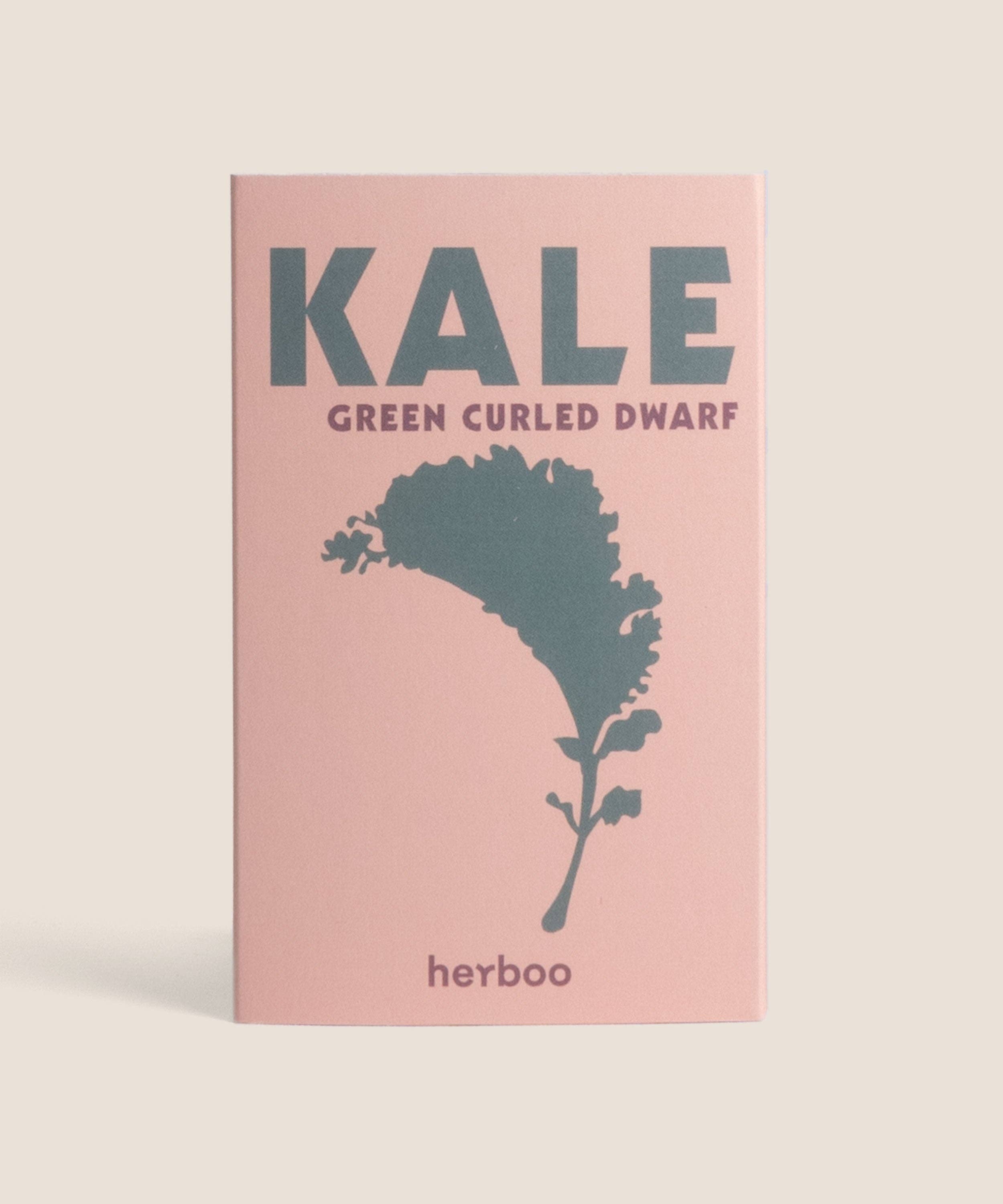Kale 'Green Curled Dwarf' Seeds