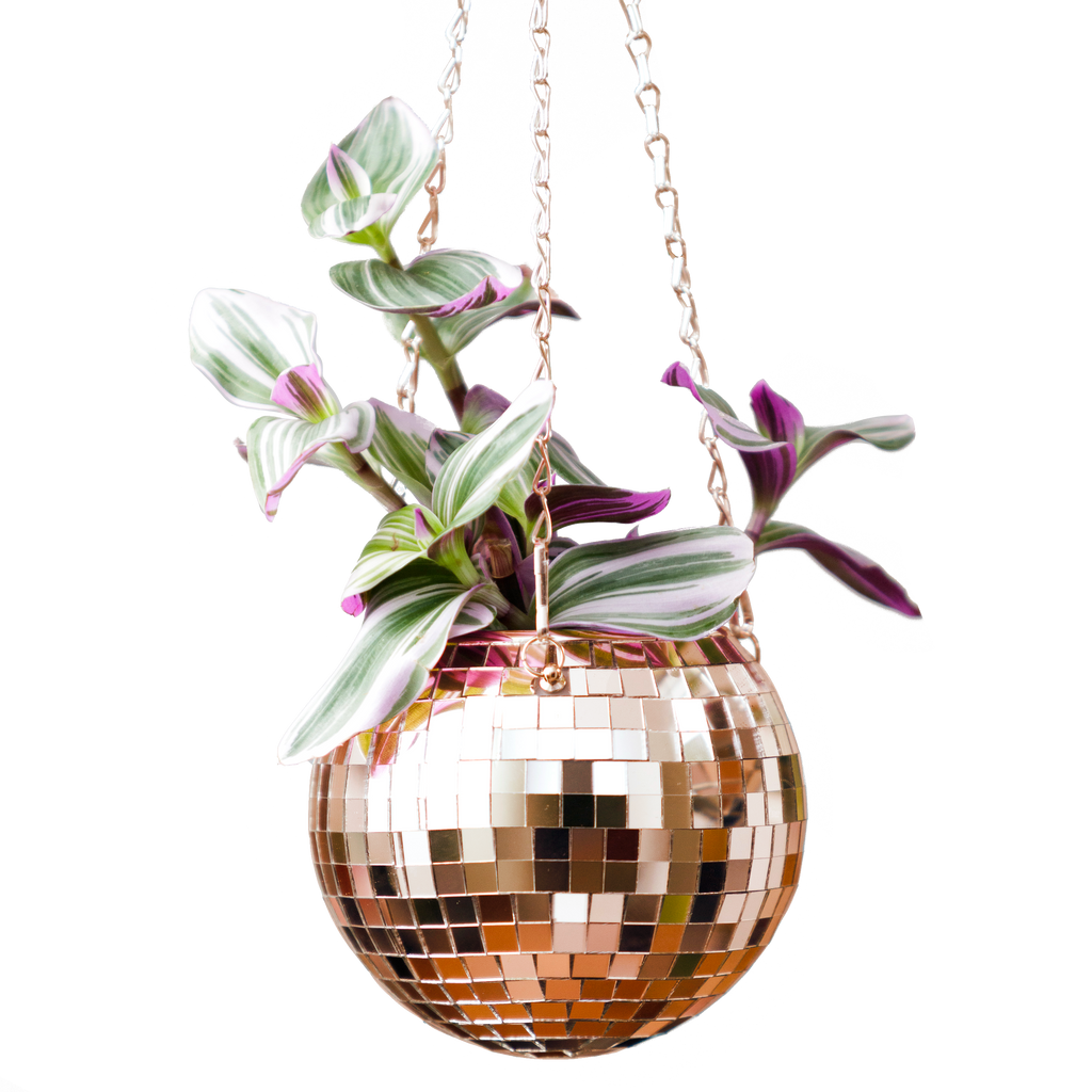 Disco Ball Hanging Planter Rose Gold 6-inch | Giftware