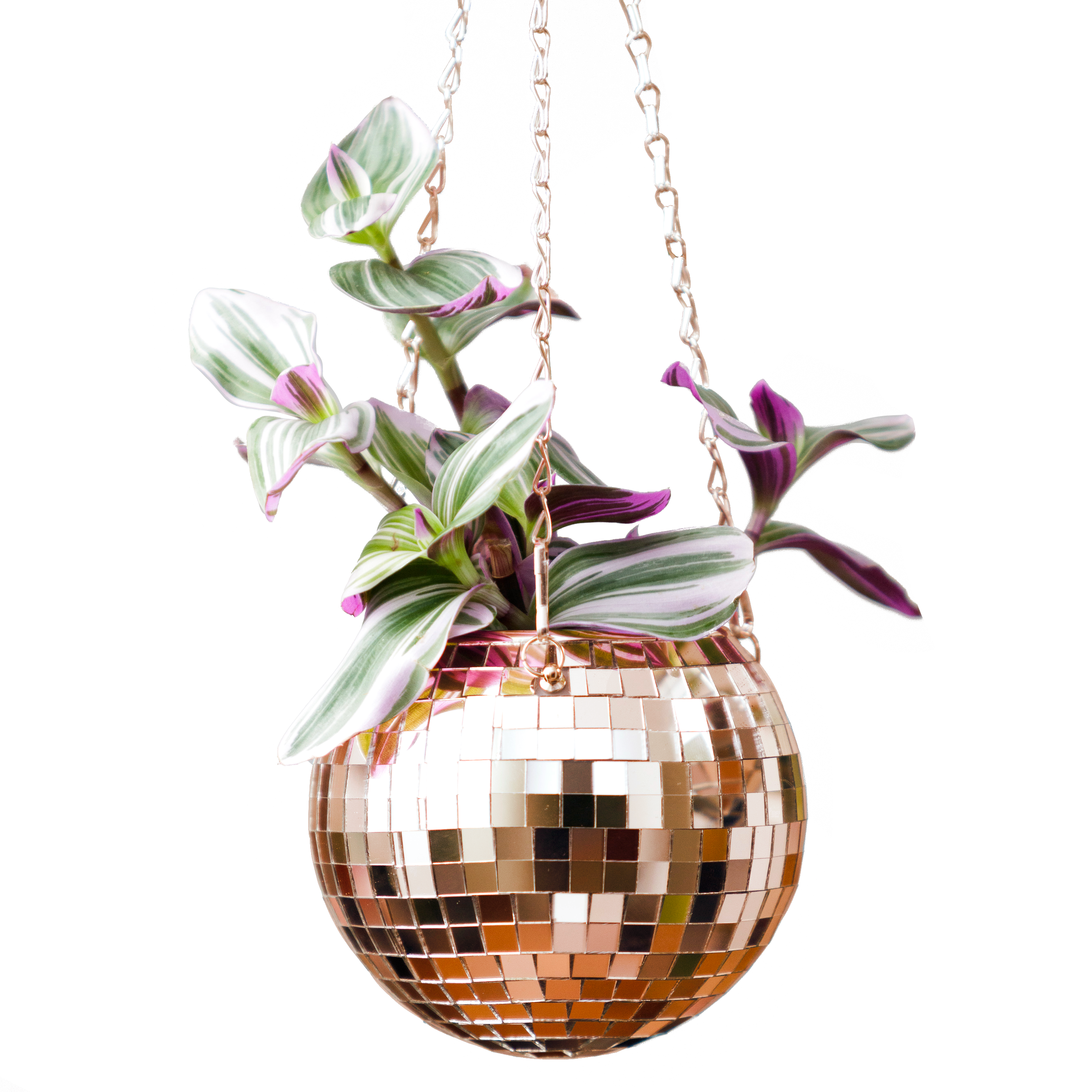Disco Ball Hanging Planter Rose Gold 6-inch | Giftware