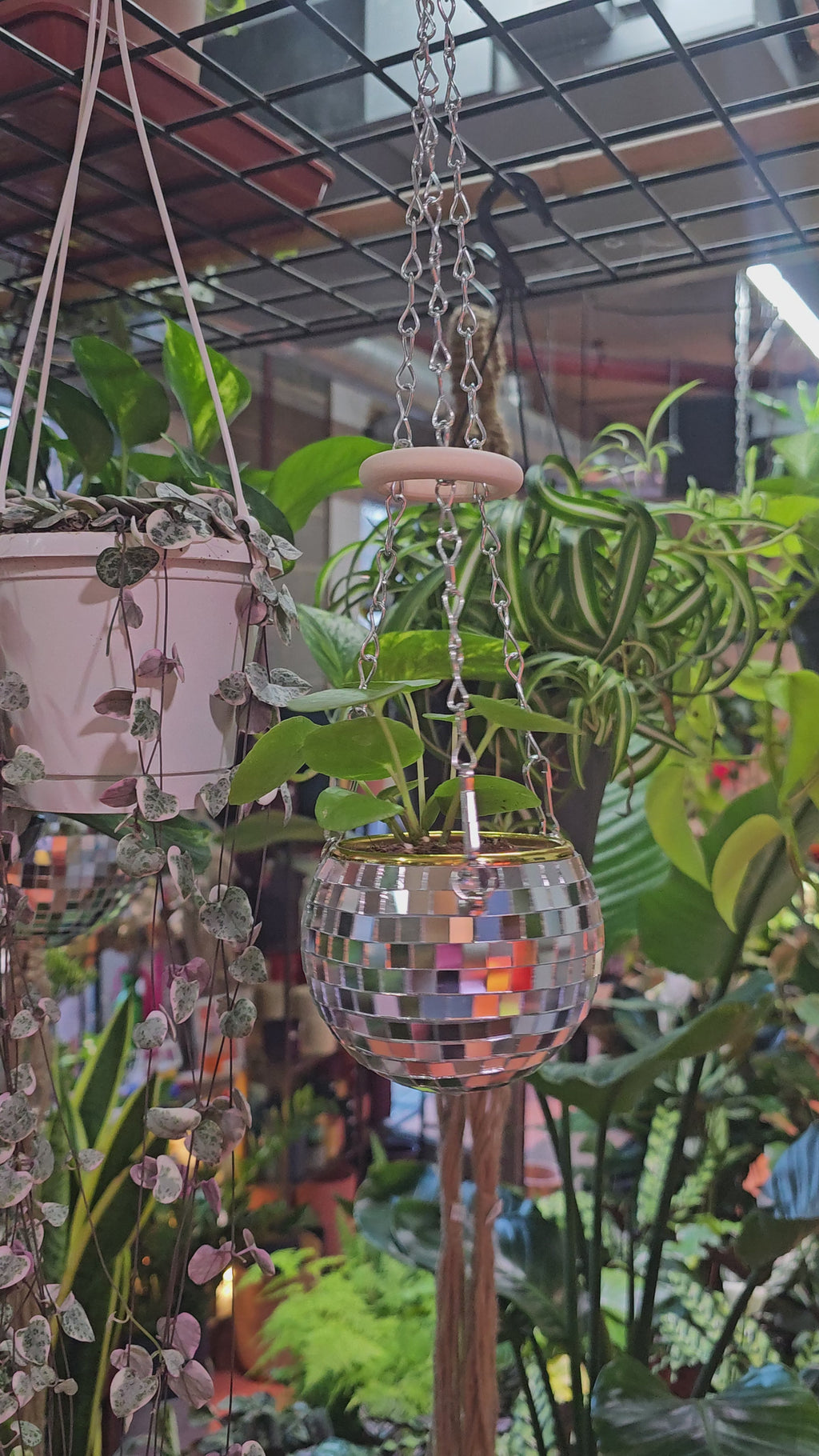 Disco Ball Hanging Planter (4-inch)