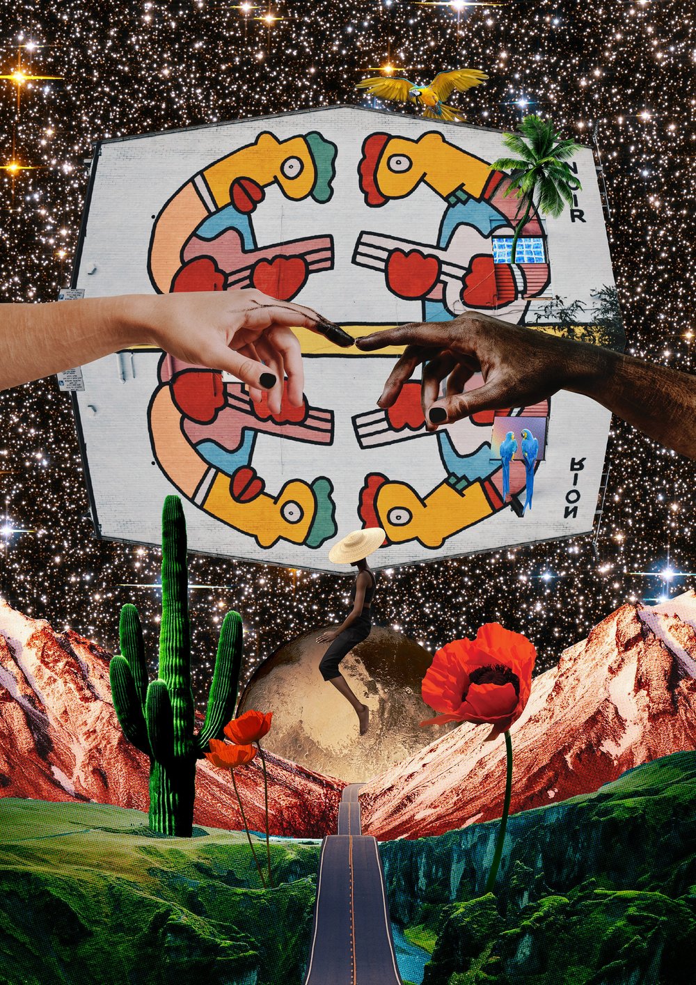 Rodeo by Mona Sharif